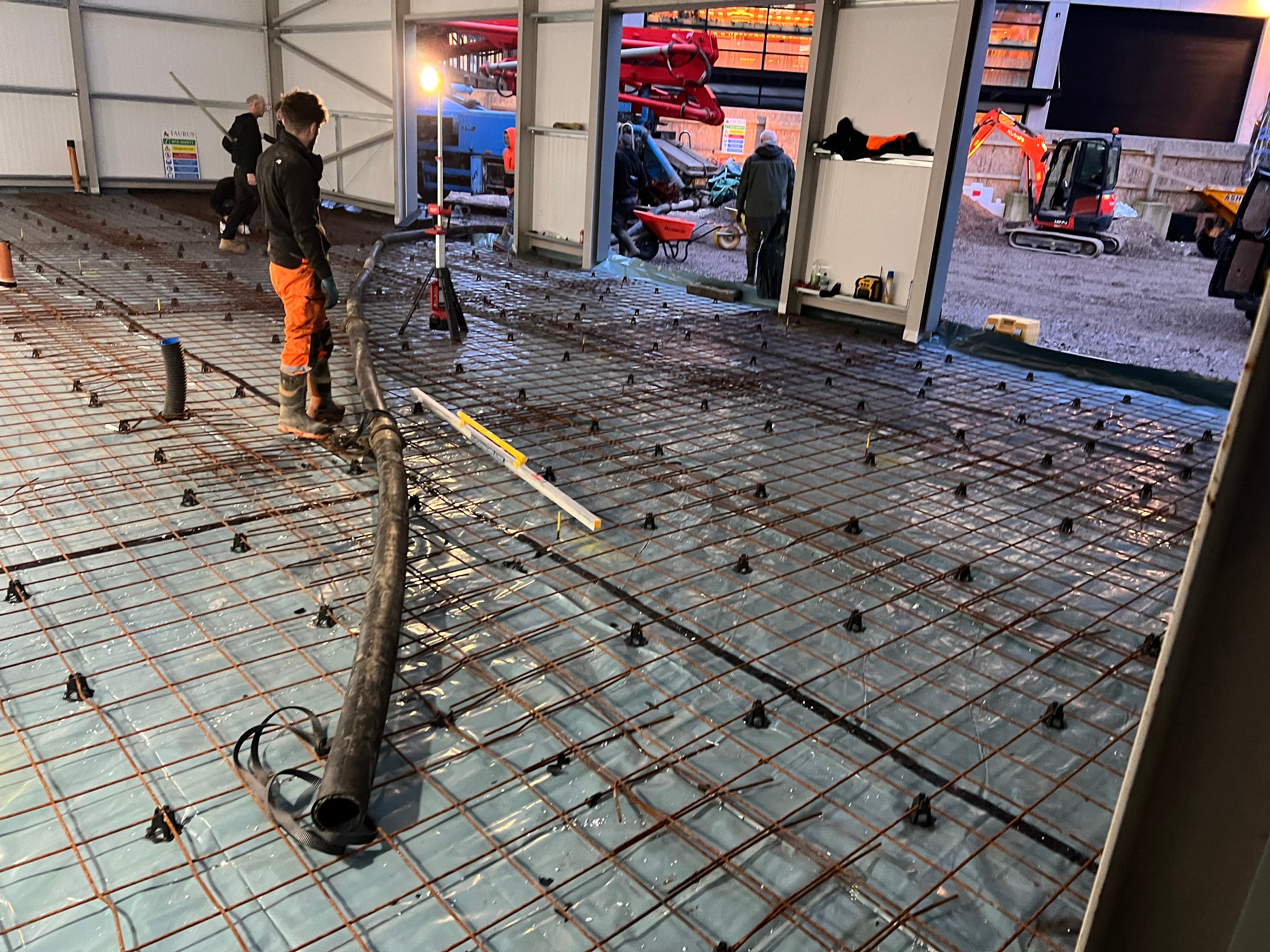 Garden before transformation