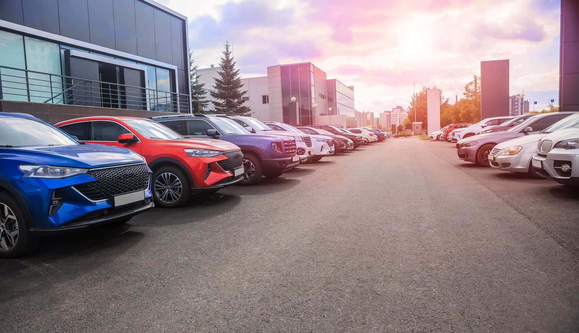 Cars For Sale Stock Lot Row. Car Dealer Inventory