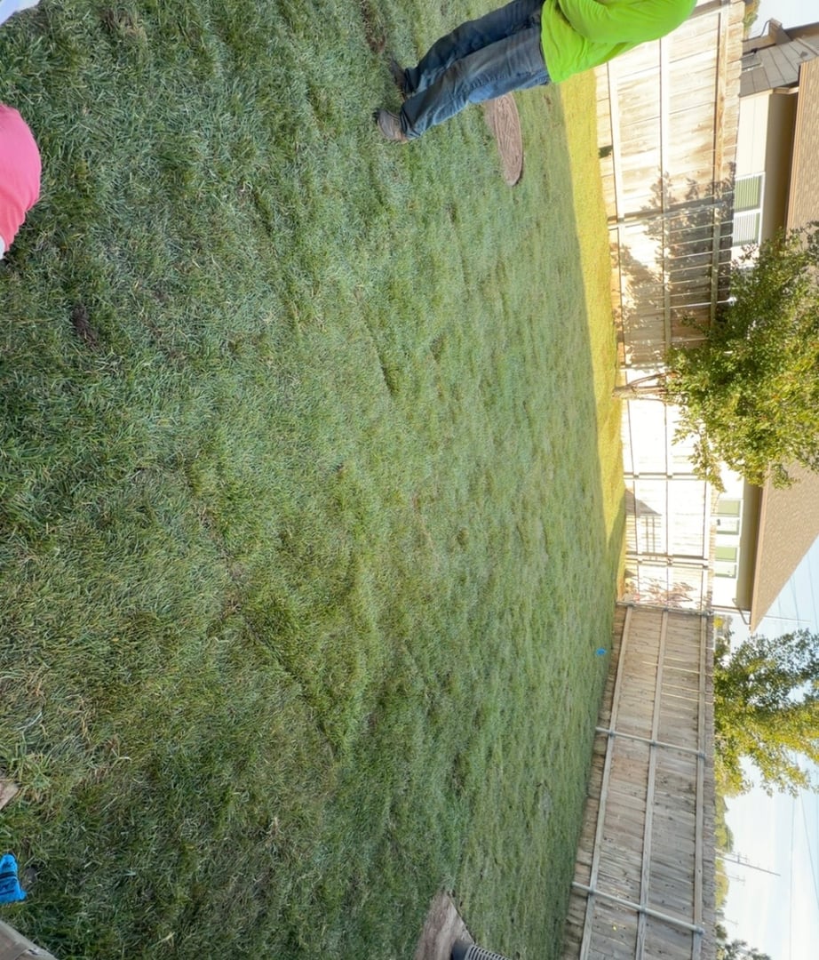 Beautiful lawn after sod installation