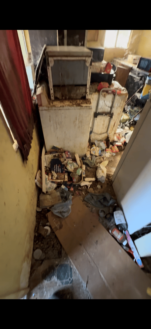 Clear Space Junk Solutions completed project