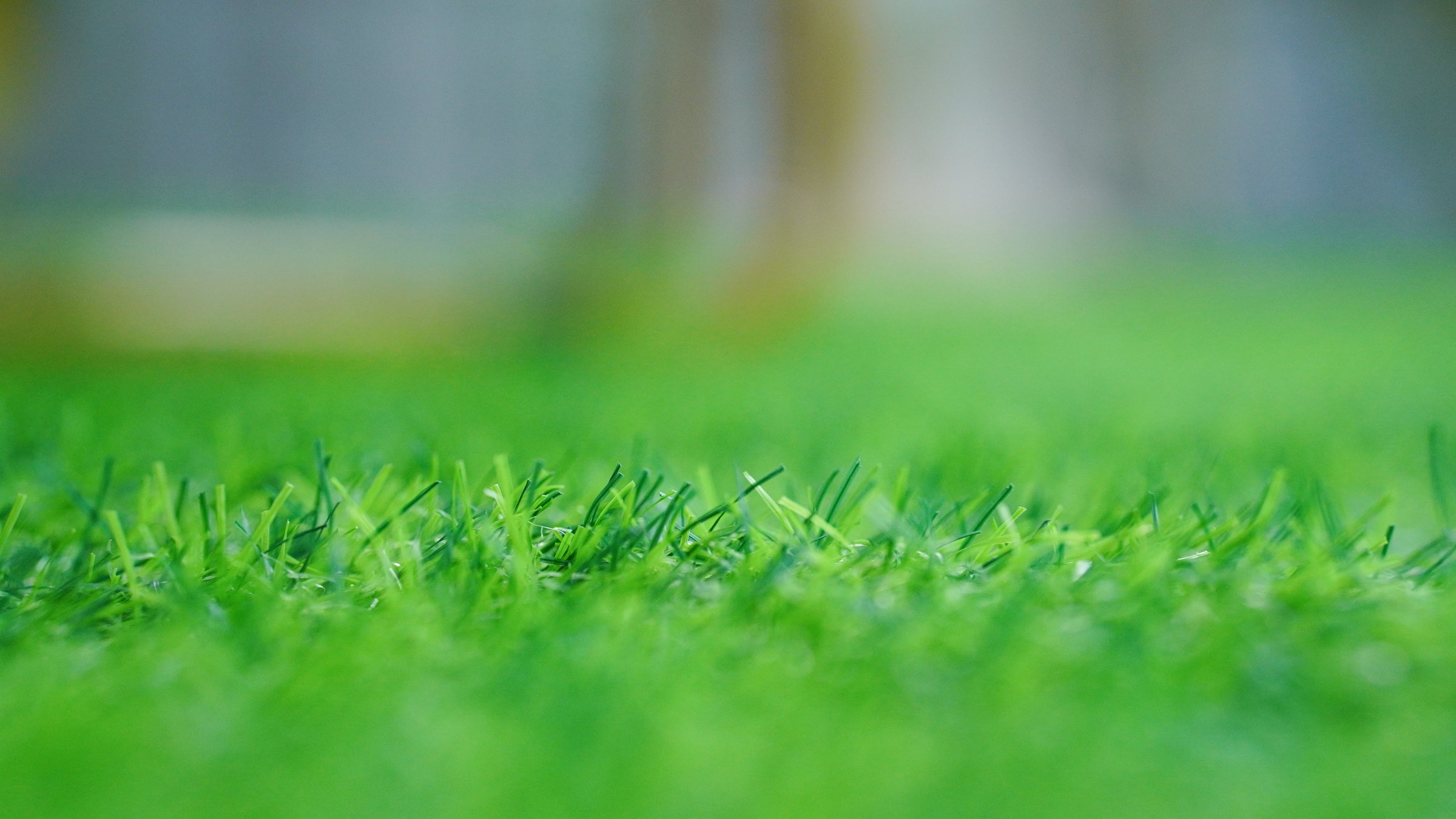 Hand holding an artificial grass roll. Greenering with an artificial turf.
