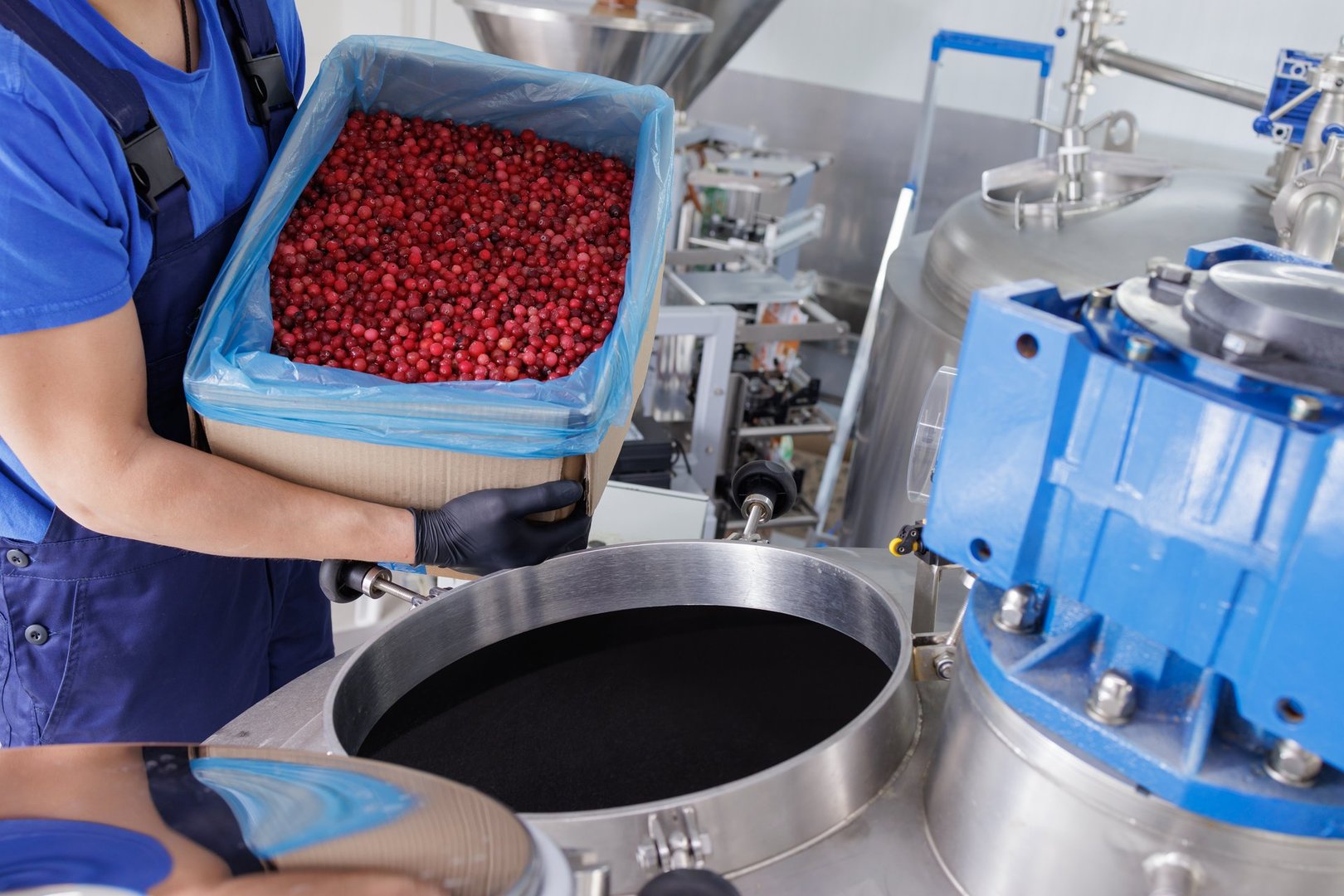 Worker pouring fresh red berries into industrial food processing machine, factory production of juice, jam, or extract in a modern facility.