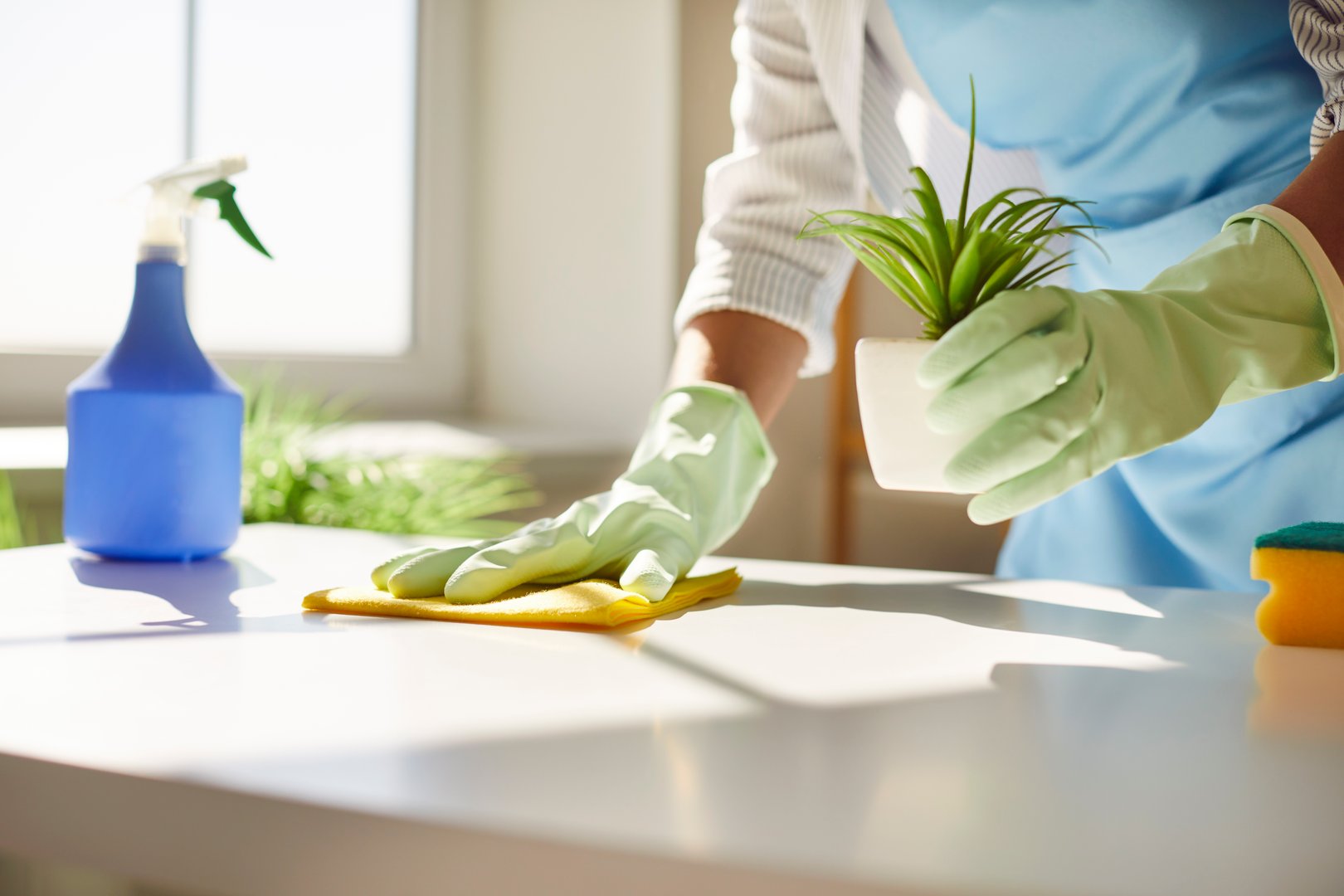 Professional cleaner at work