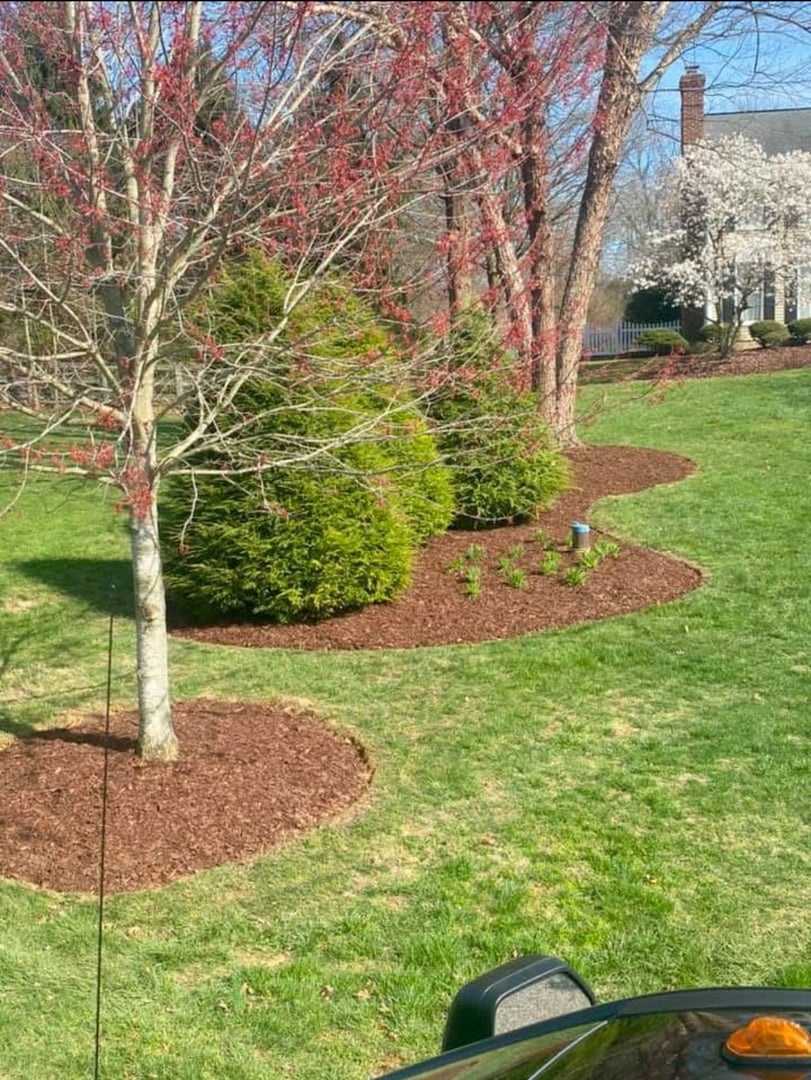 Spring Clean Up project