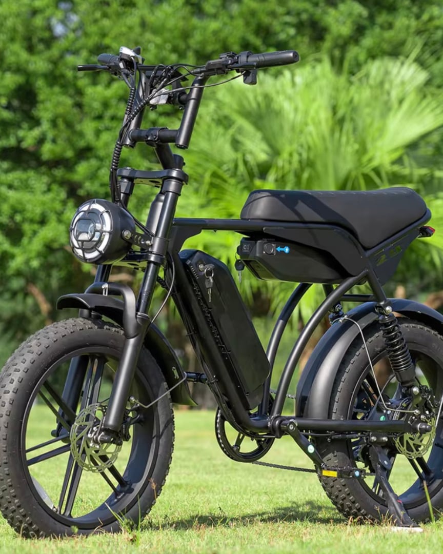 Vanta Traveller E-bike rear view