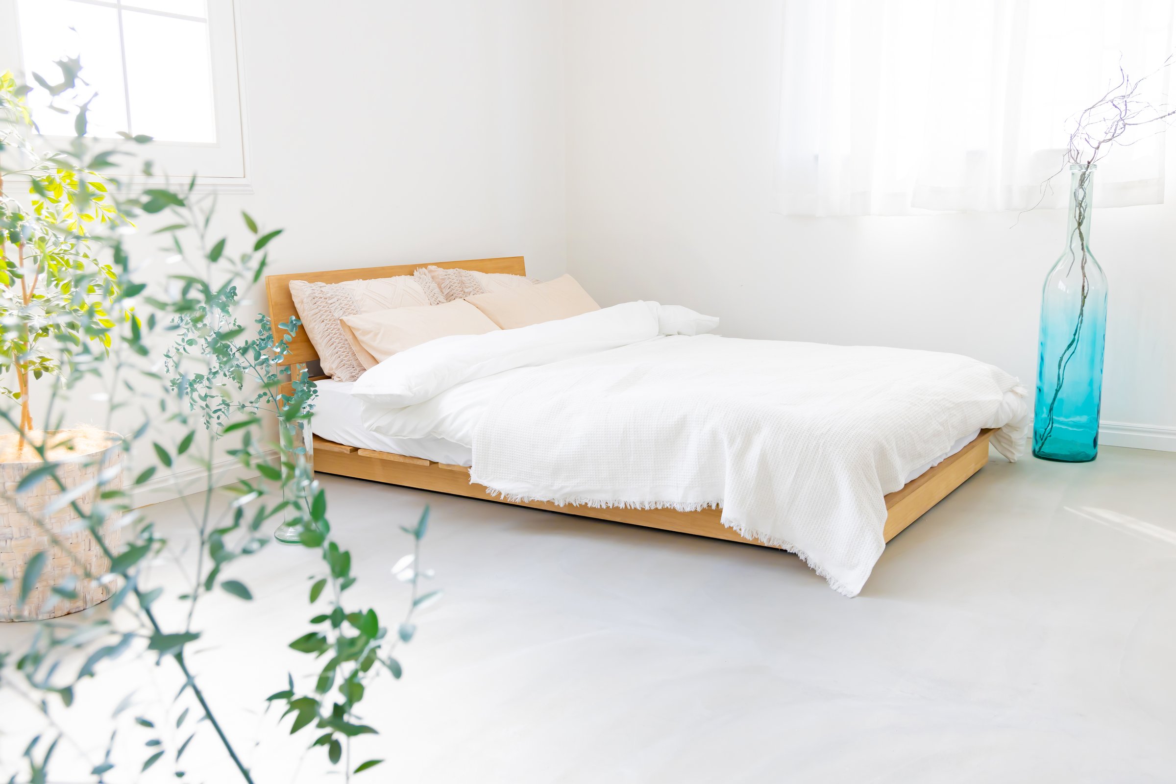Houseplants and beds