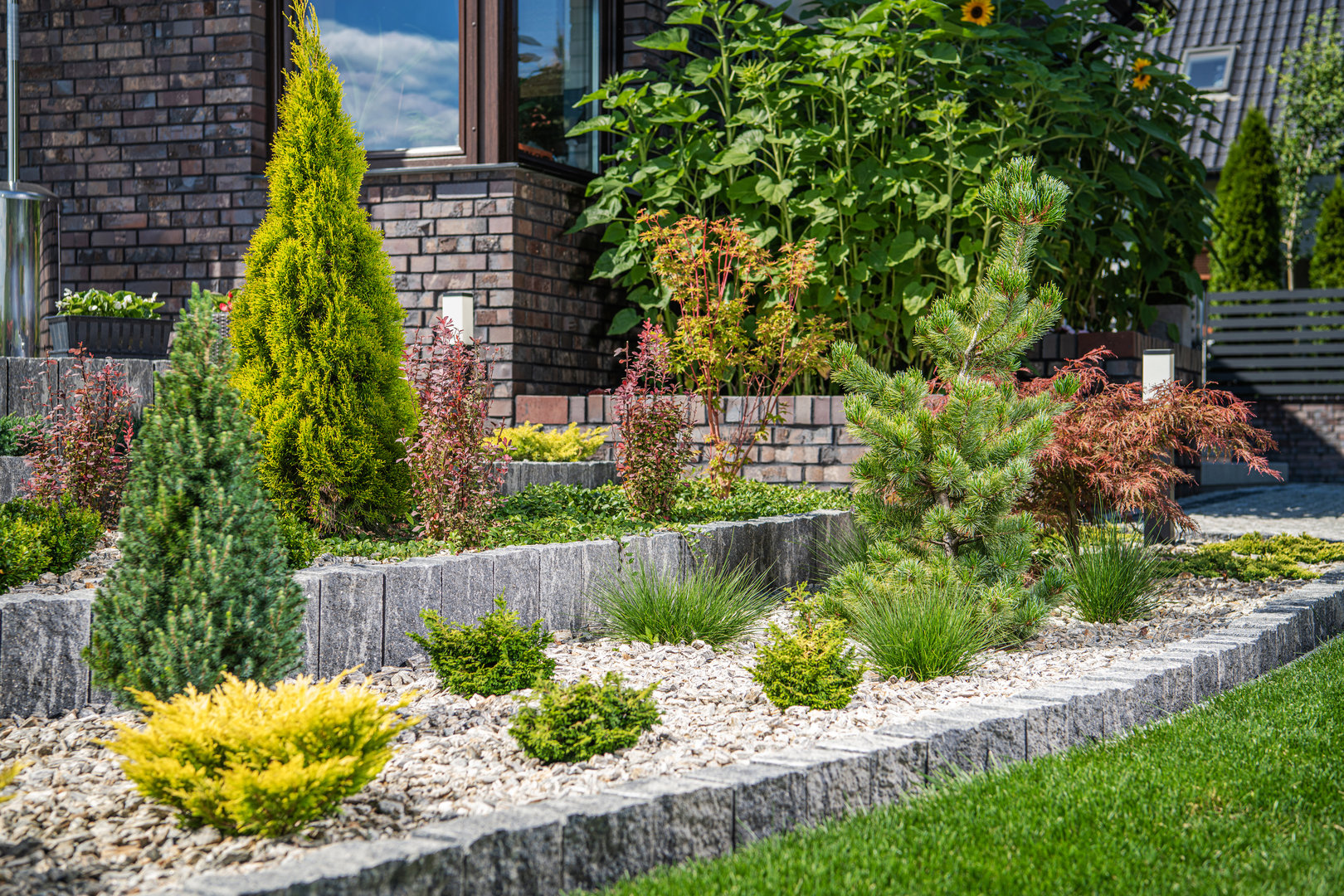 Young Backyard Rockery Garden with Small Plants. Residential Gardening Theme.