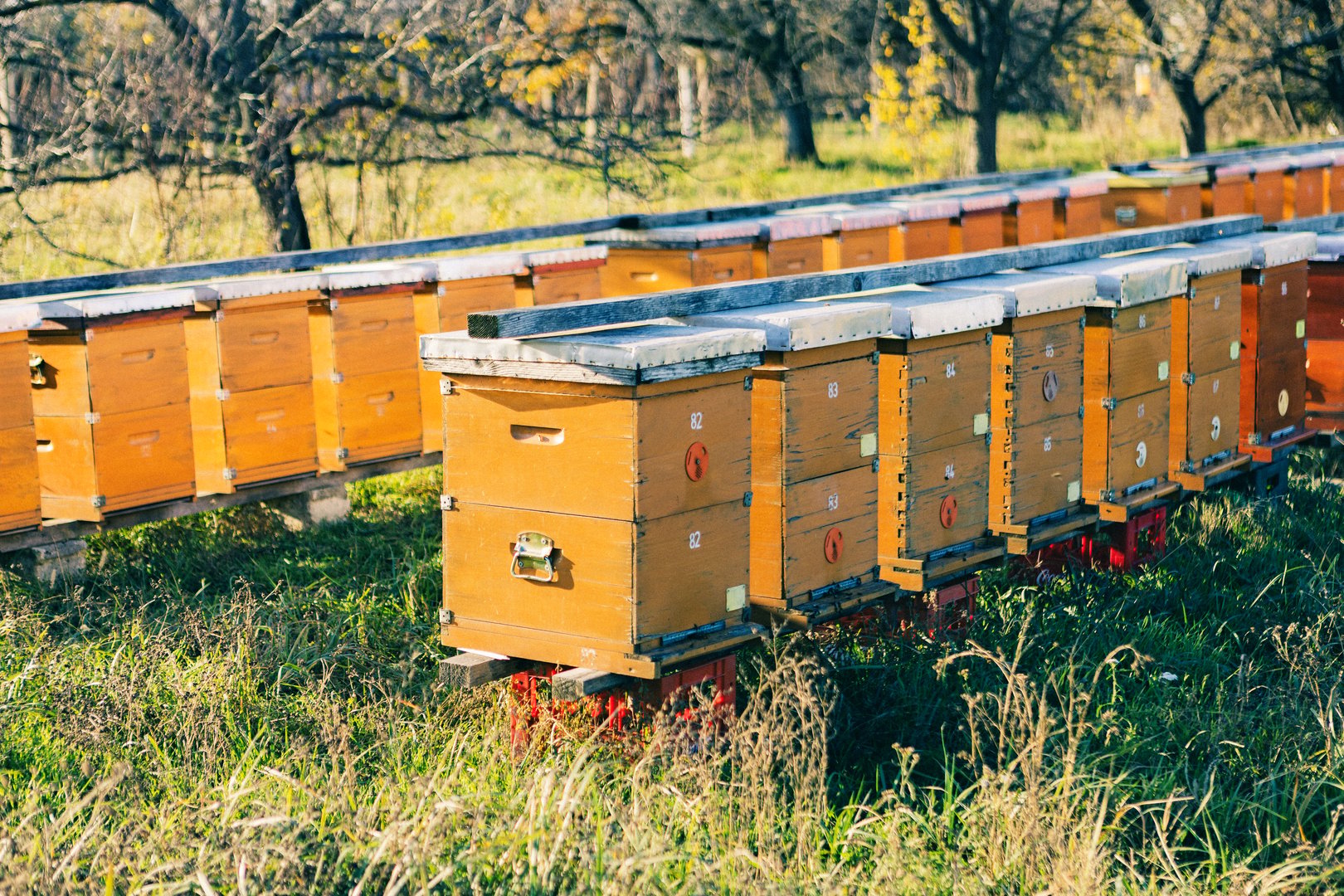 Containers on wooden pallet in farm, Serbia in Novi Sad, Vojvodina, Serbia
