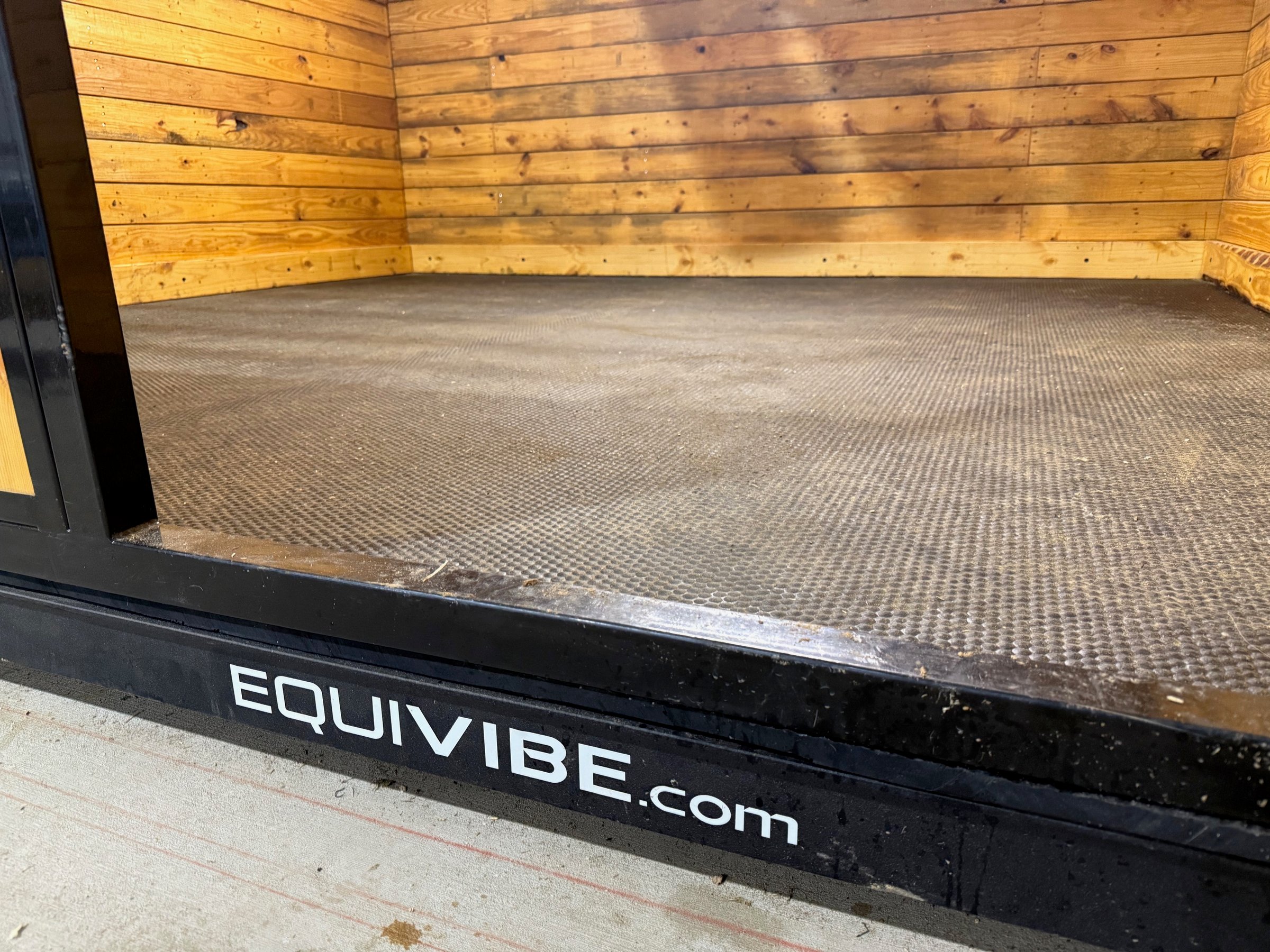 Equivibe therapy for horses at Blu Equine