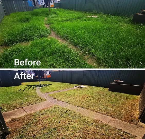 Lawn mowing job completed