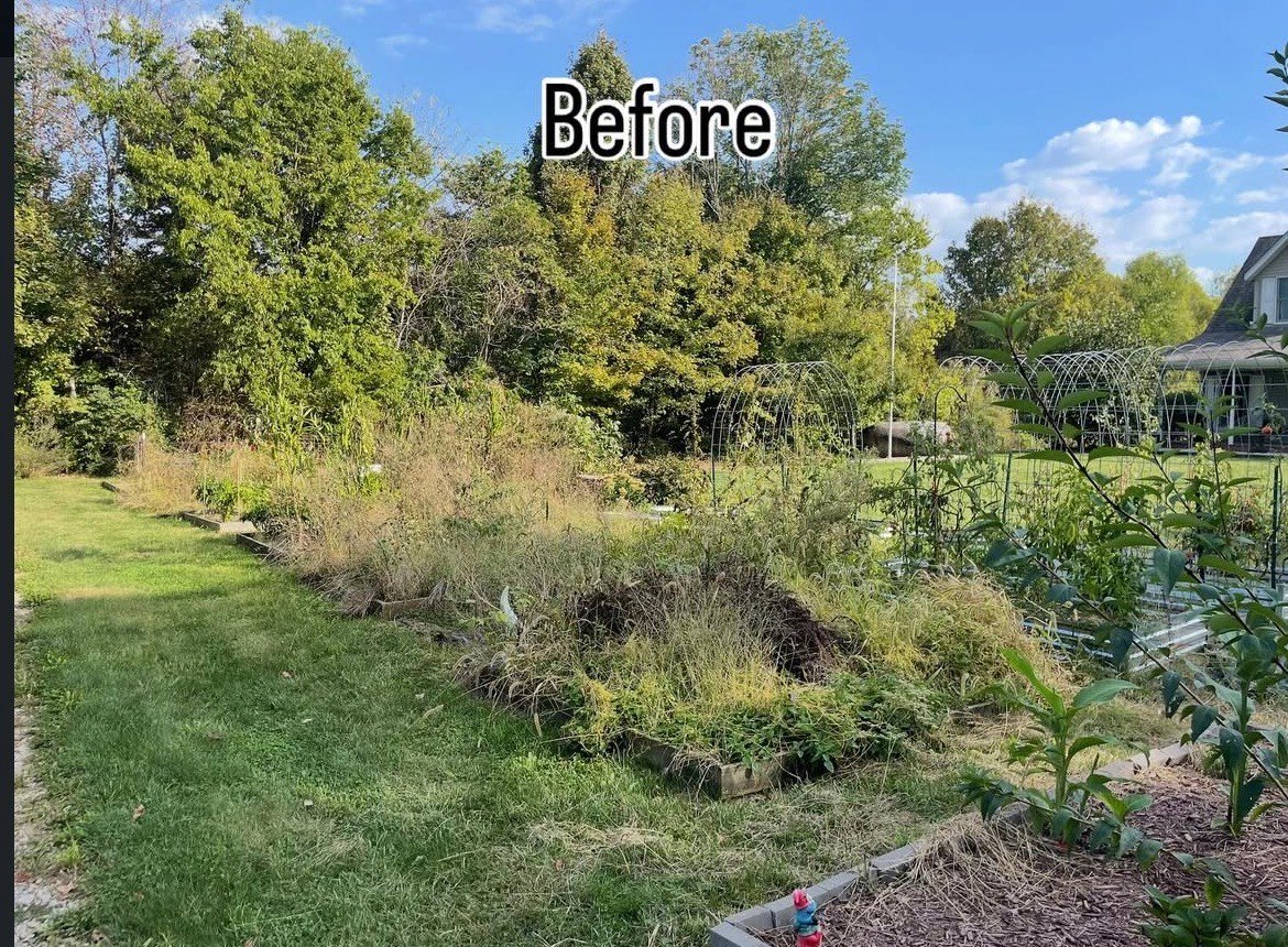 Before landscaping transformation