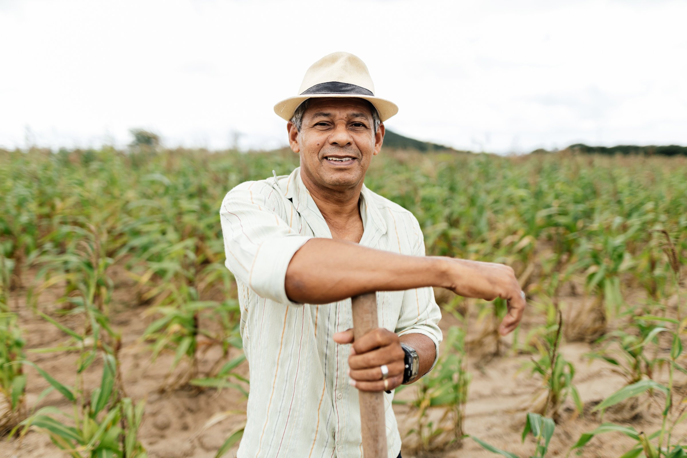A Brazilian farmer standing tall in a vibrant cornfield, embodying the spirit of rural life.