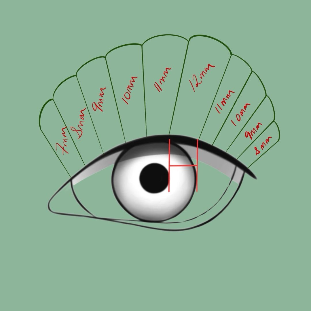 Lash Mapping