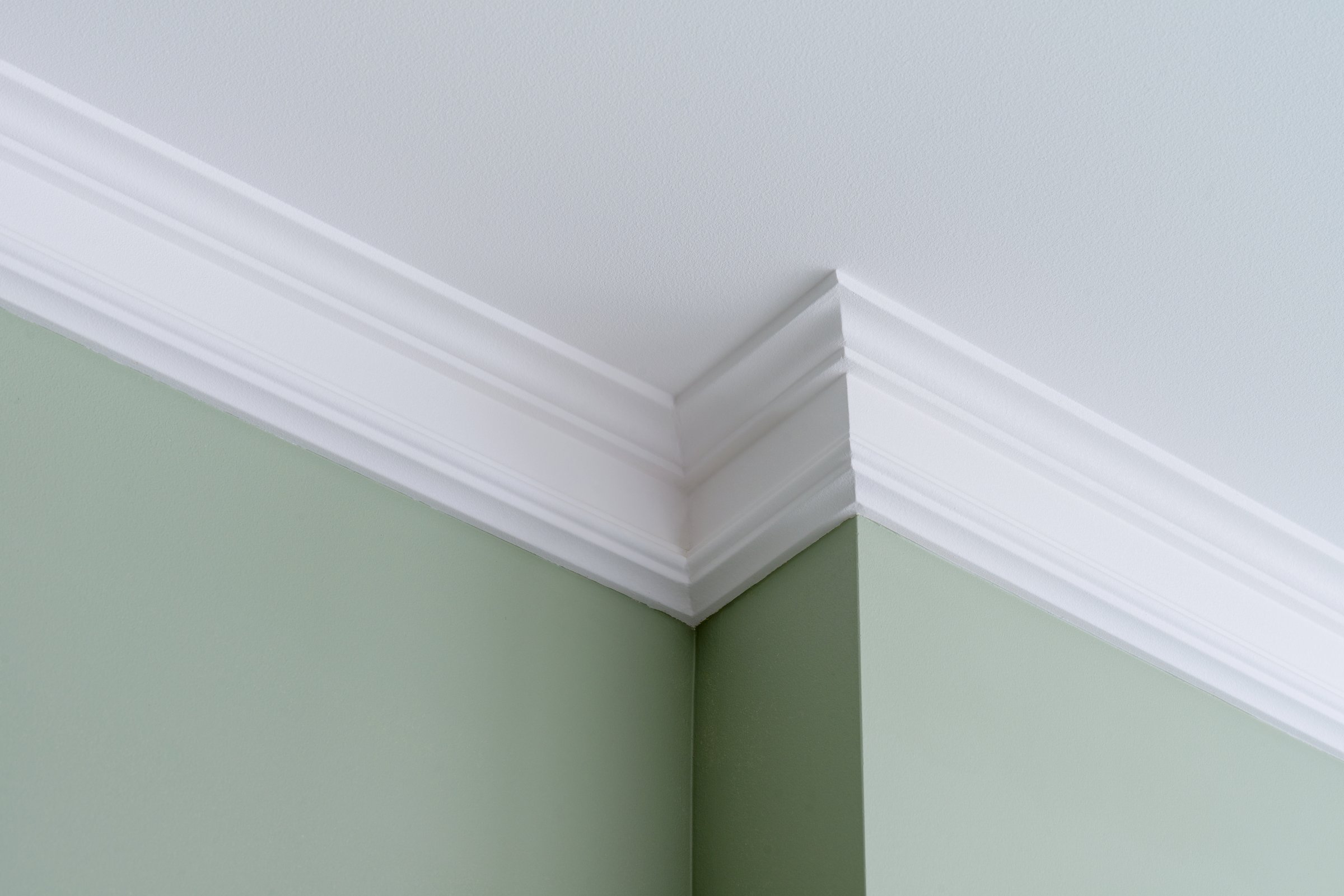 Intricate ceiling molding and trim interior