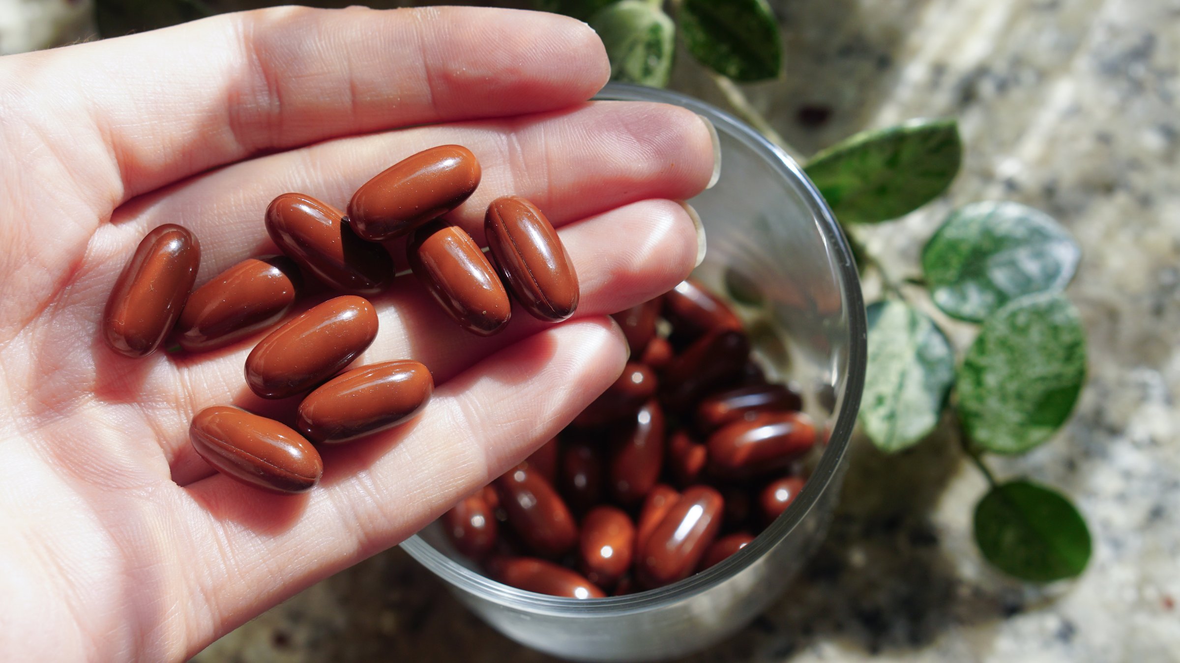 Product guideline imagery