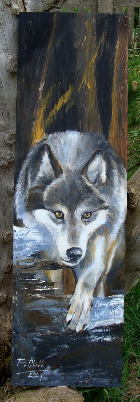 Wilk 4