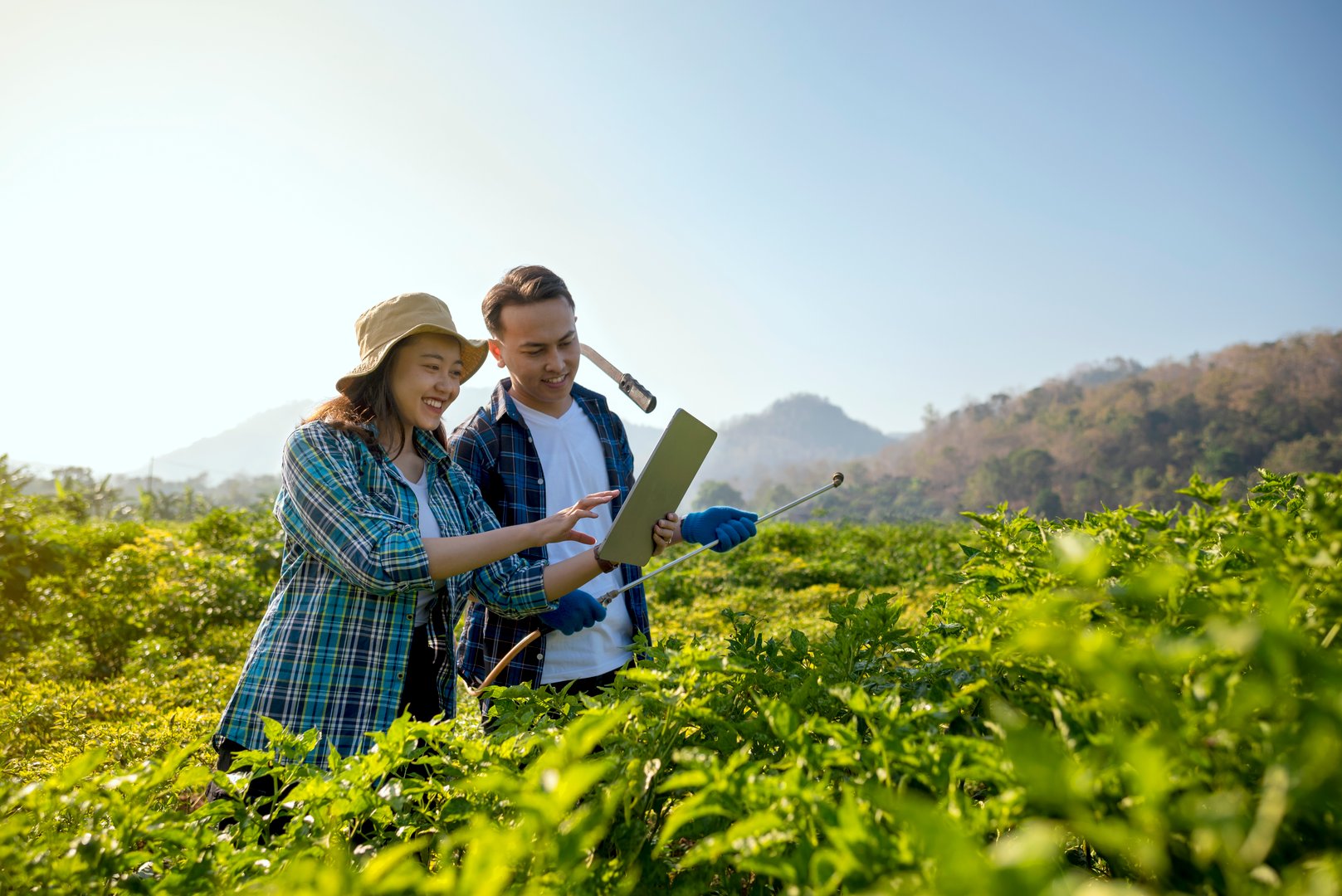 Indonesian farmers people are holding a tablet in a chili field. The woman is wearing a blue shirt and a hat