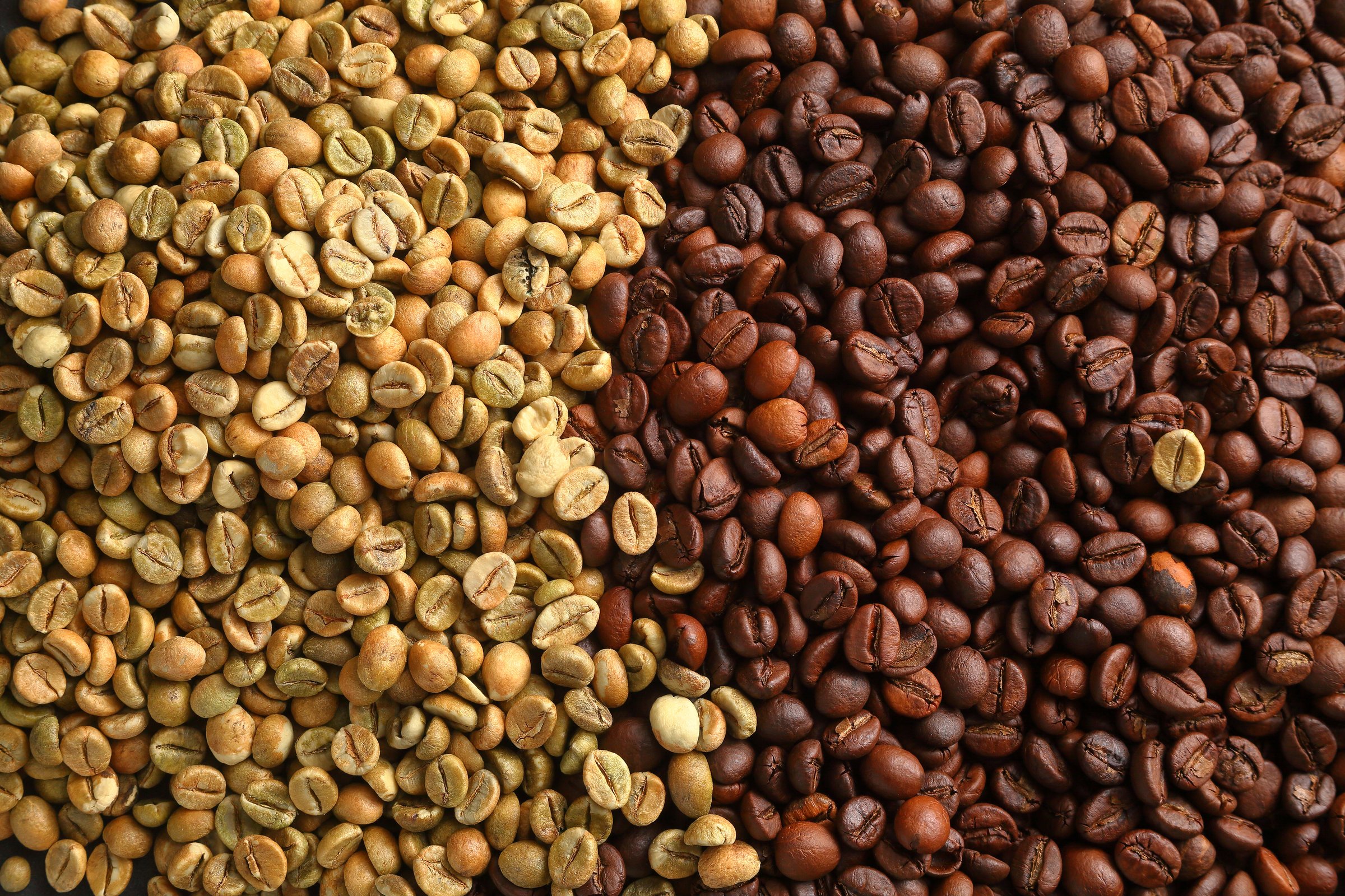 Close-up of green, light, medium, and dark roasted coffee beans, emphasizing the transformation in color and texture through roasting