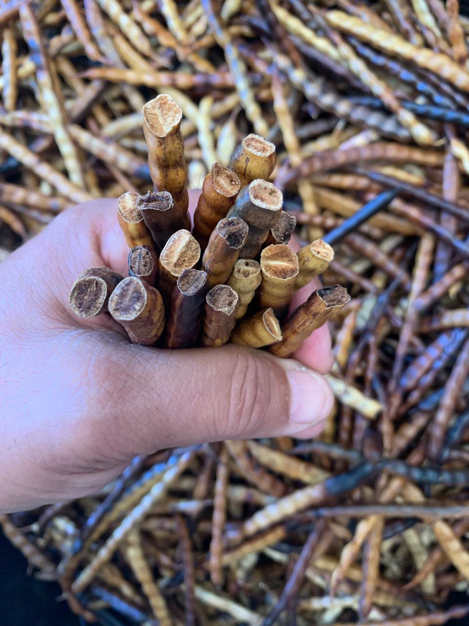 Foto personal mostrando mano con mezquites