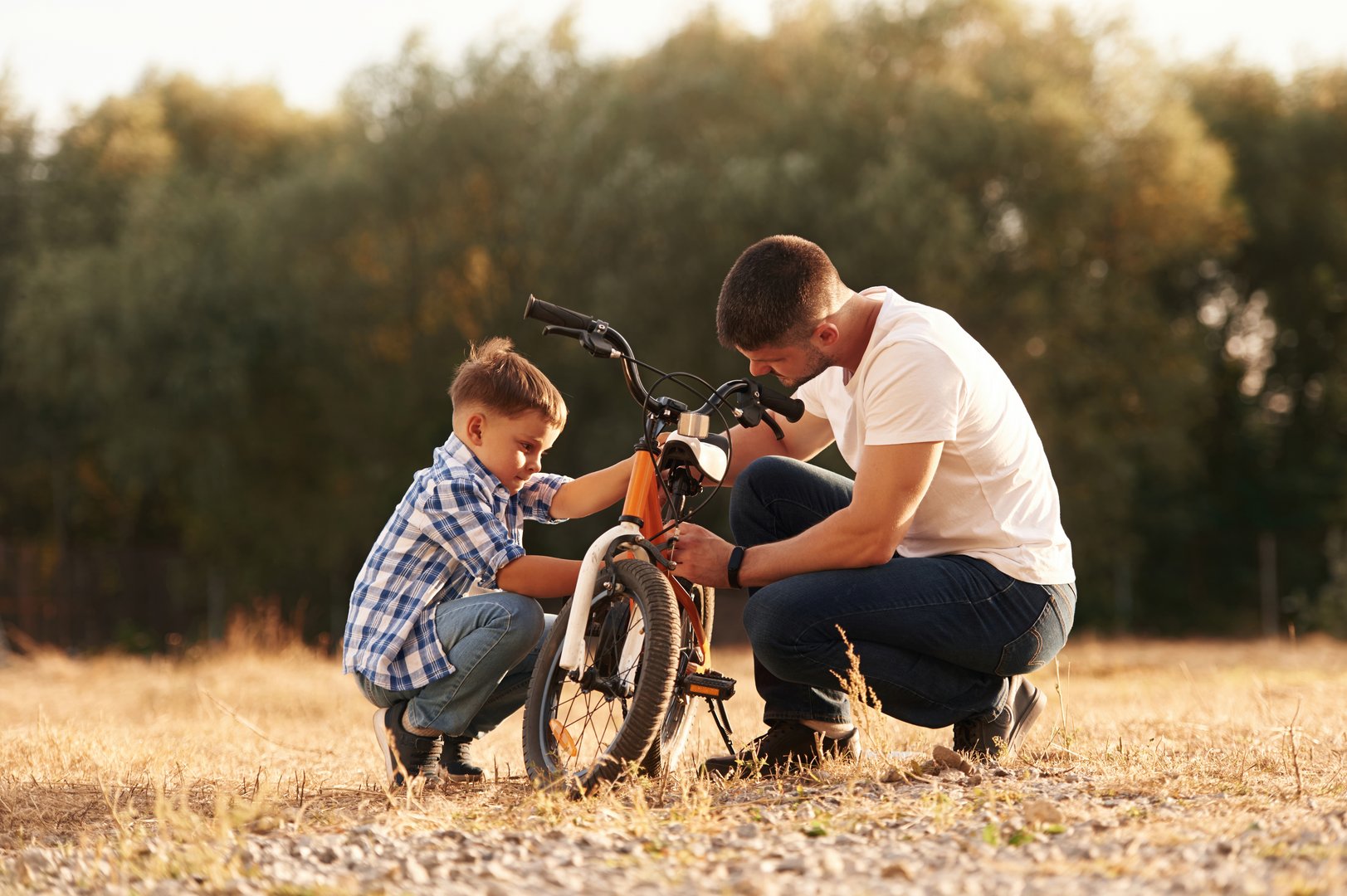 Broken bike, process of fixing it. Dad with son are with bicycle on the field outdoors.