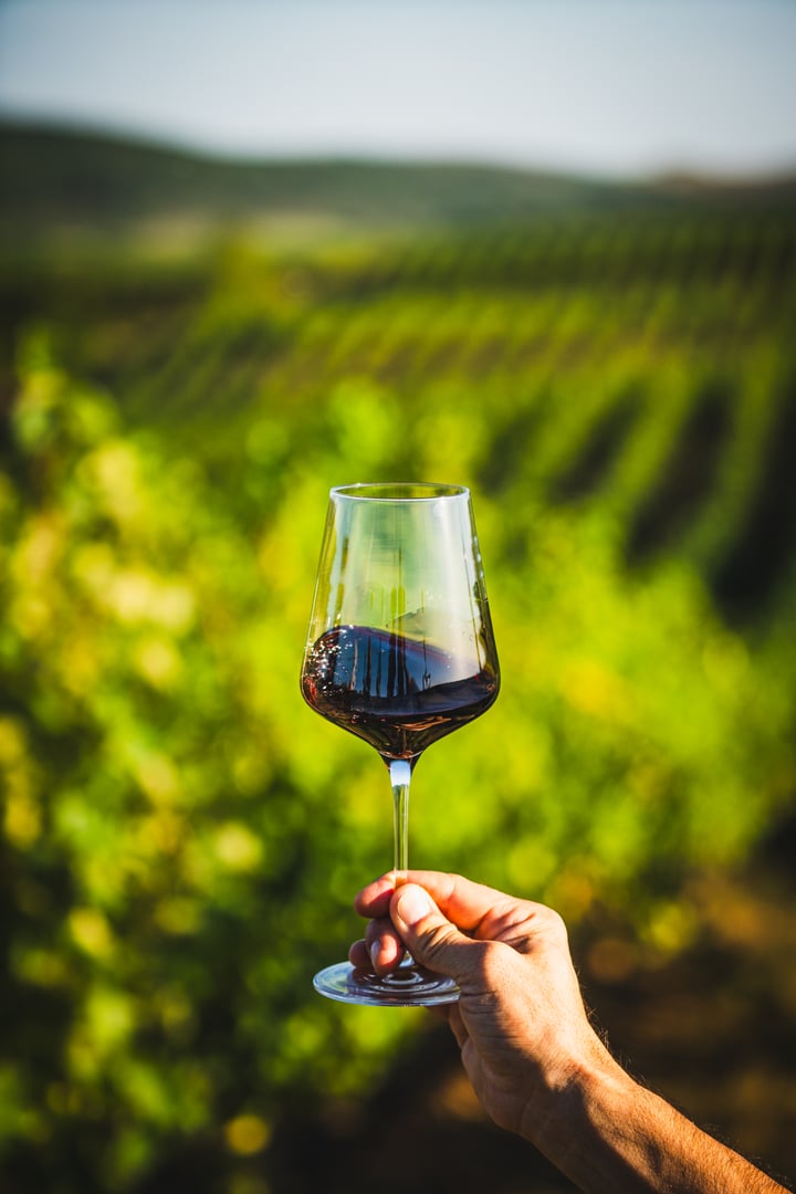 Man holding a glass of red wine surrounded by hills and mountains at sunset, personal perspective POV.