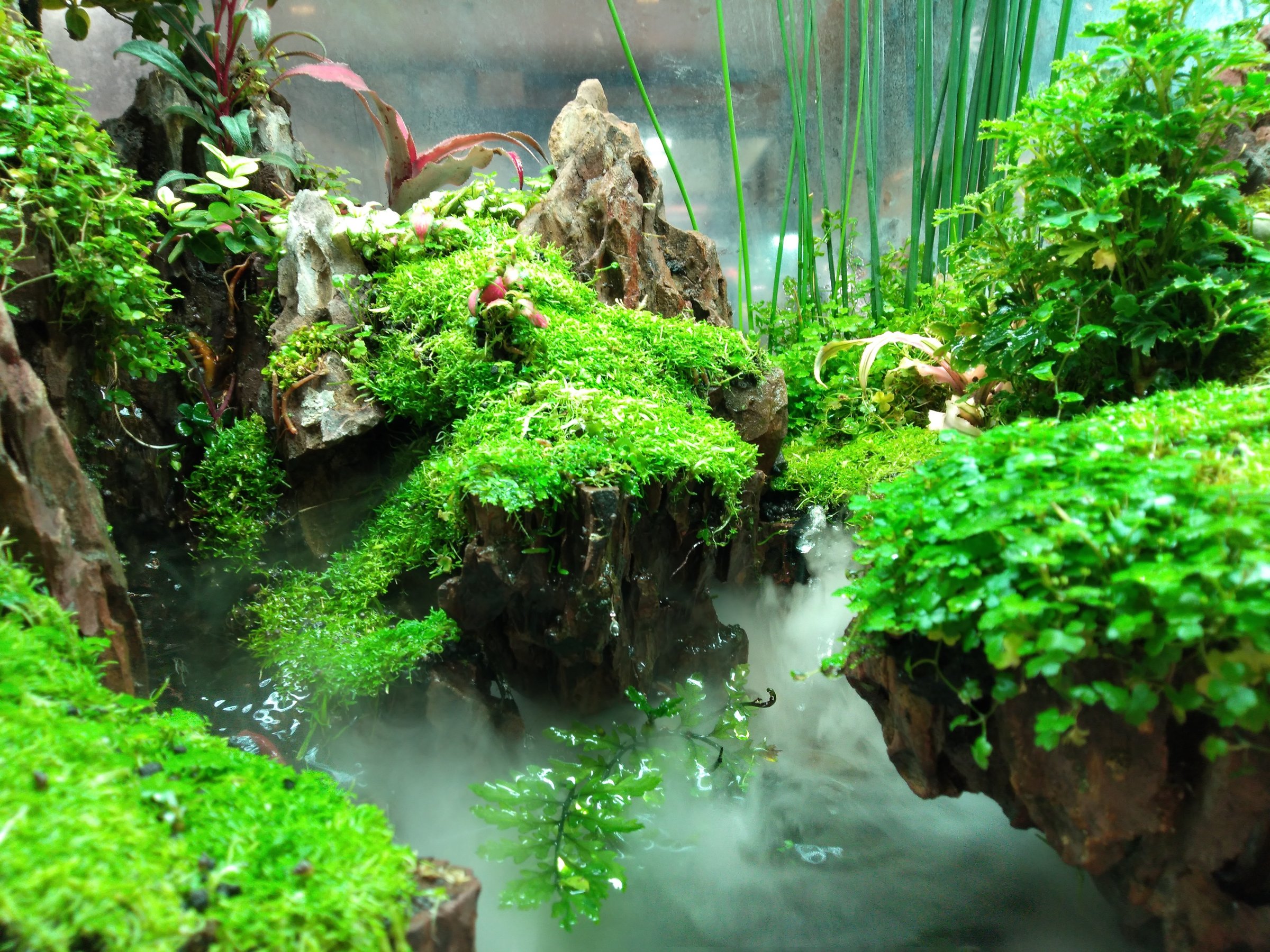 The fish tank decoration scenery The underwater plants and trees