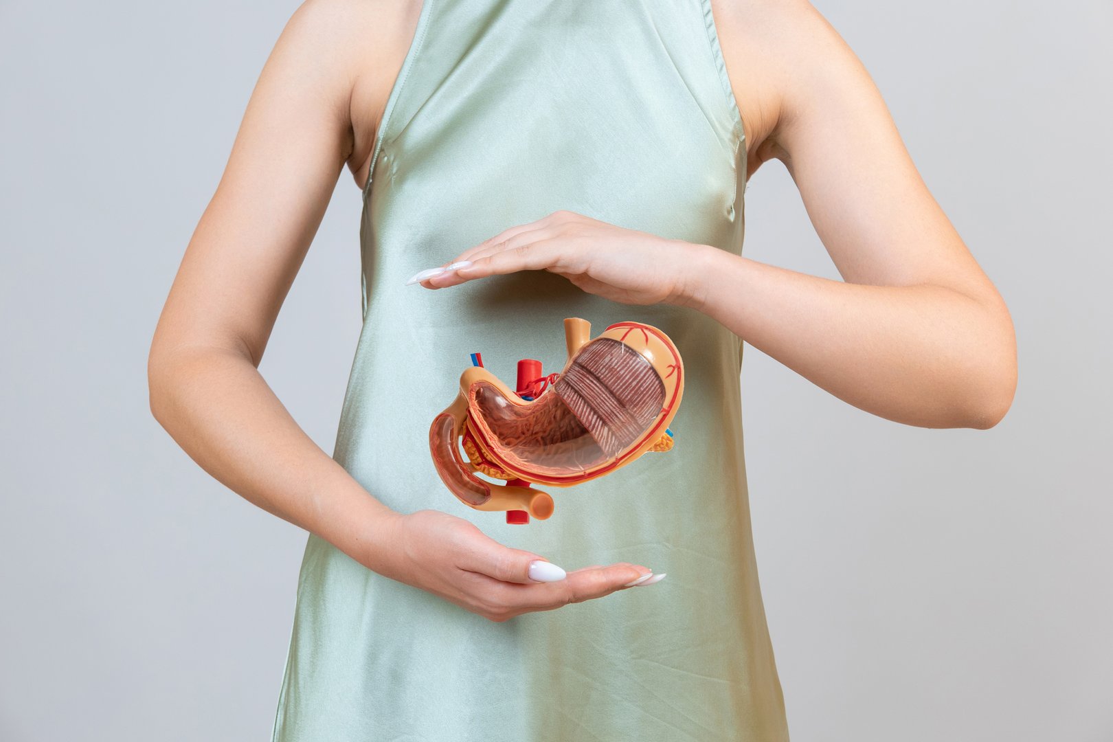 woman is holding mock stomach in the hands. Help and care concept