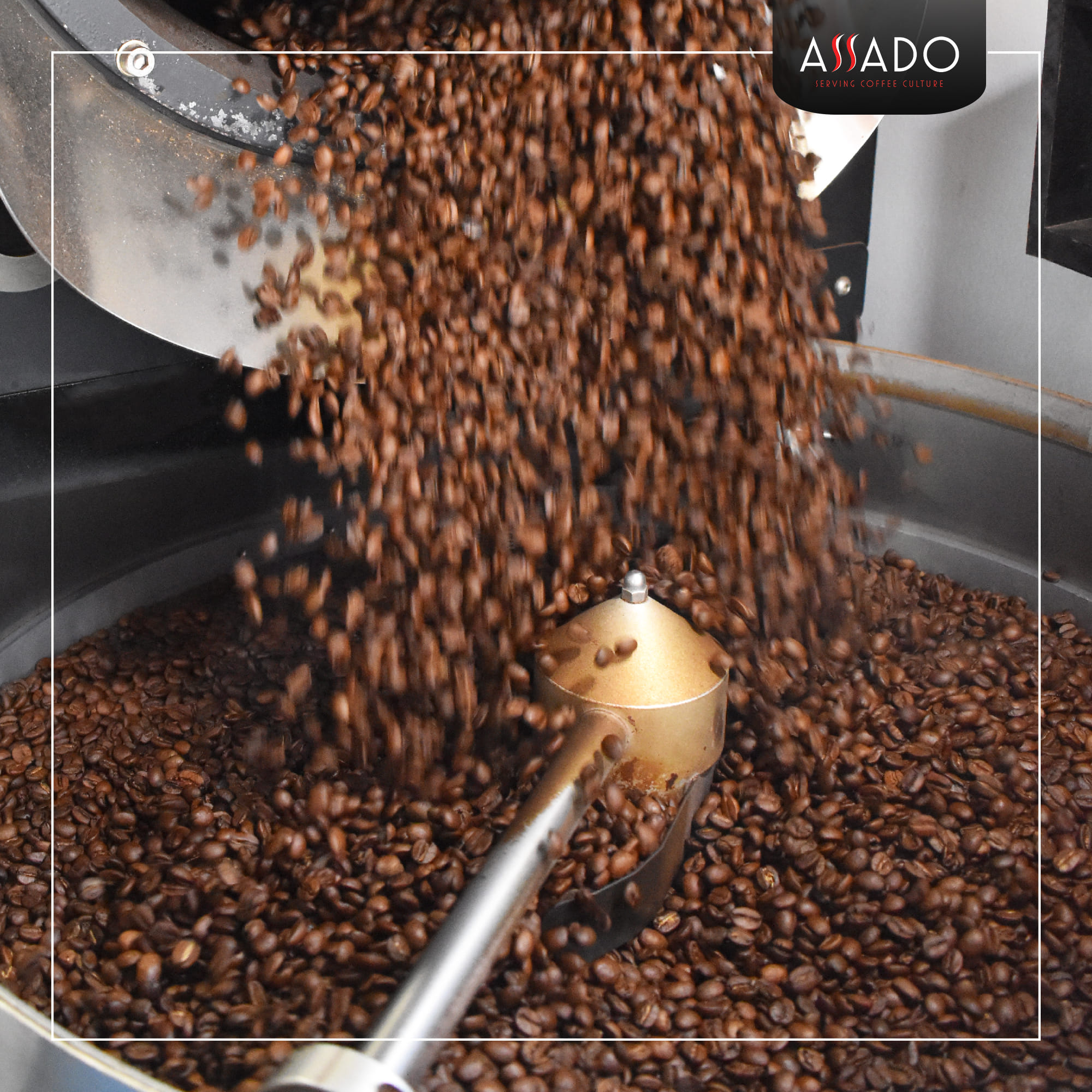 Assado Coffee