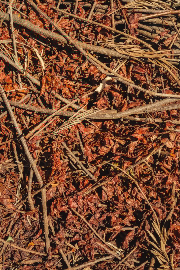 Nature's stewardship