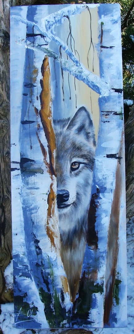 Wilk 1