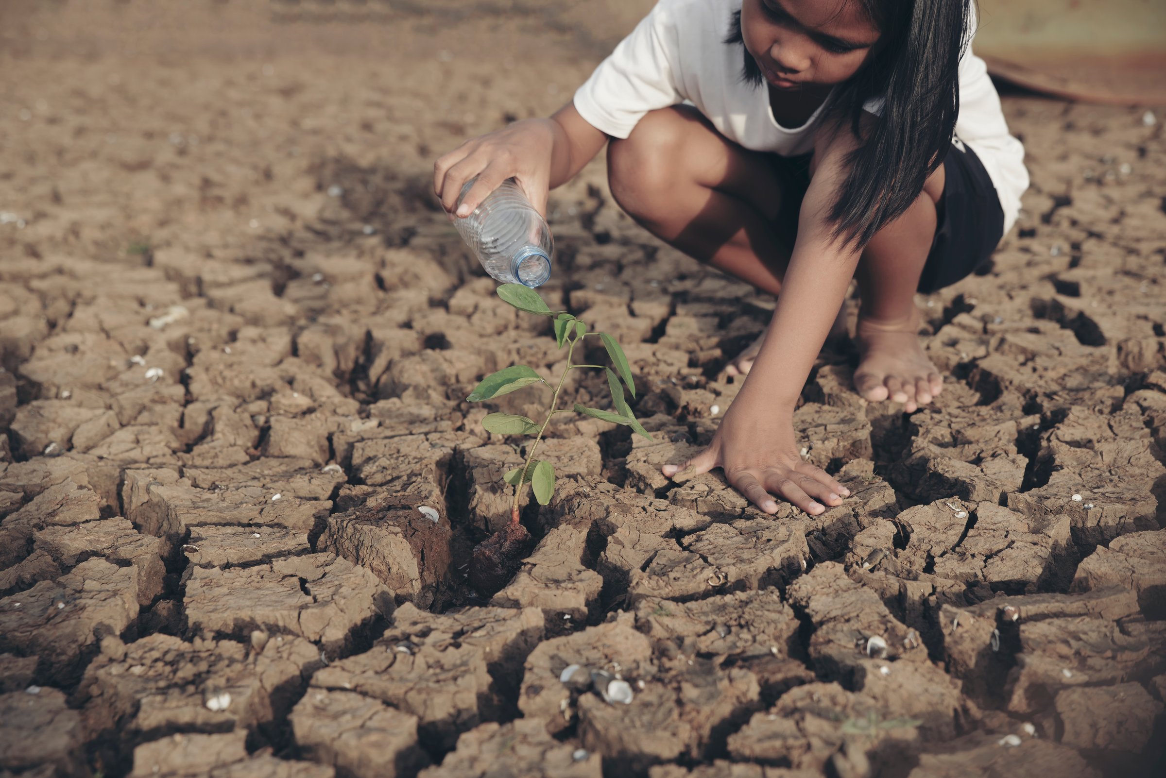 Icon for Sustainable Water Solutions