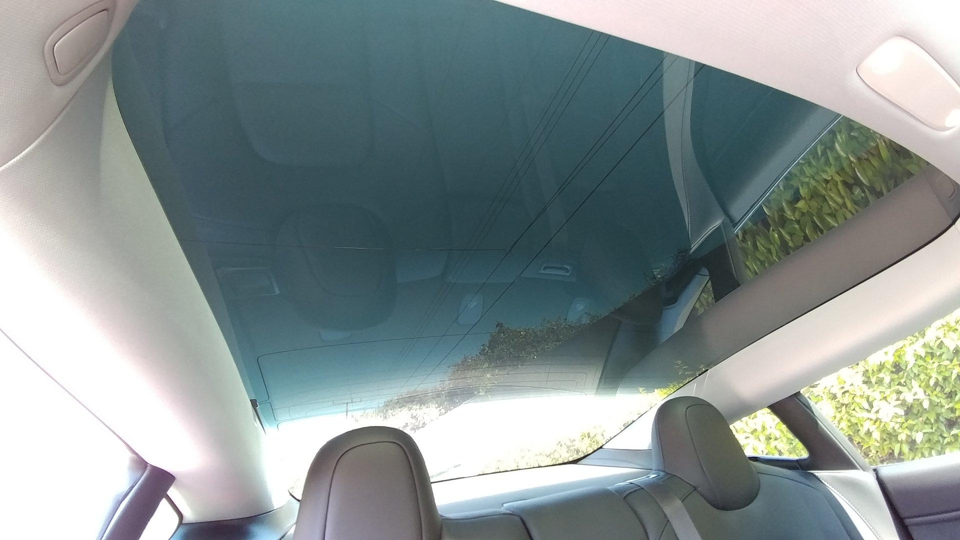 Model 3 back window tinting detail