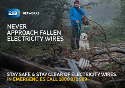 ESB Networks Electrical Safety