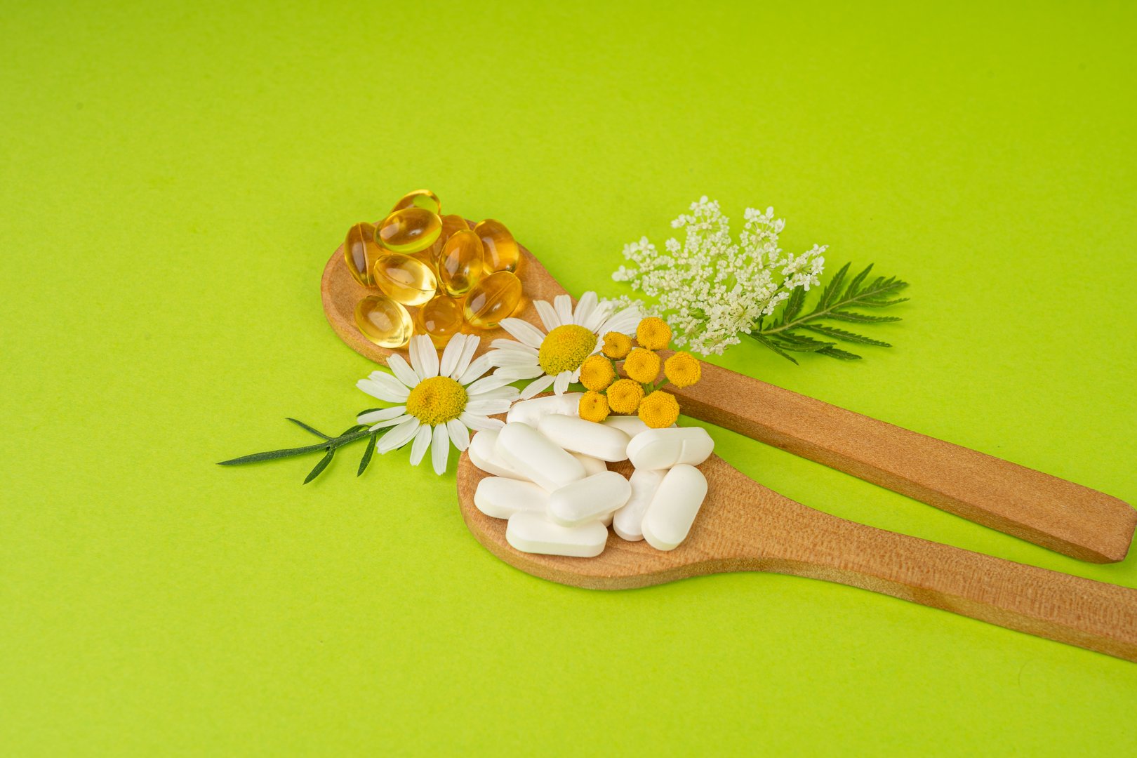 Herbal Pills, Nature Medicine Supplements, Plant Capsules, Vitamin Mineral Medicine, Healthy Multivitamin Drugs, Naturopathy Tablets, Dietary Supplements Surrounded by Medicinal Herbs and Flowers