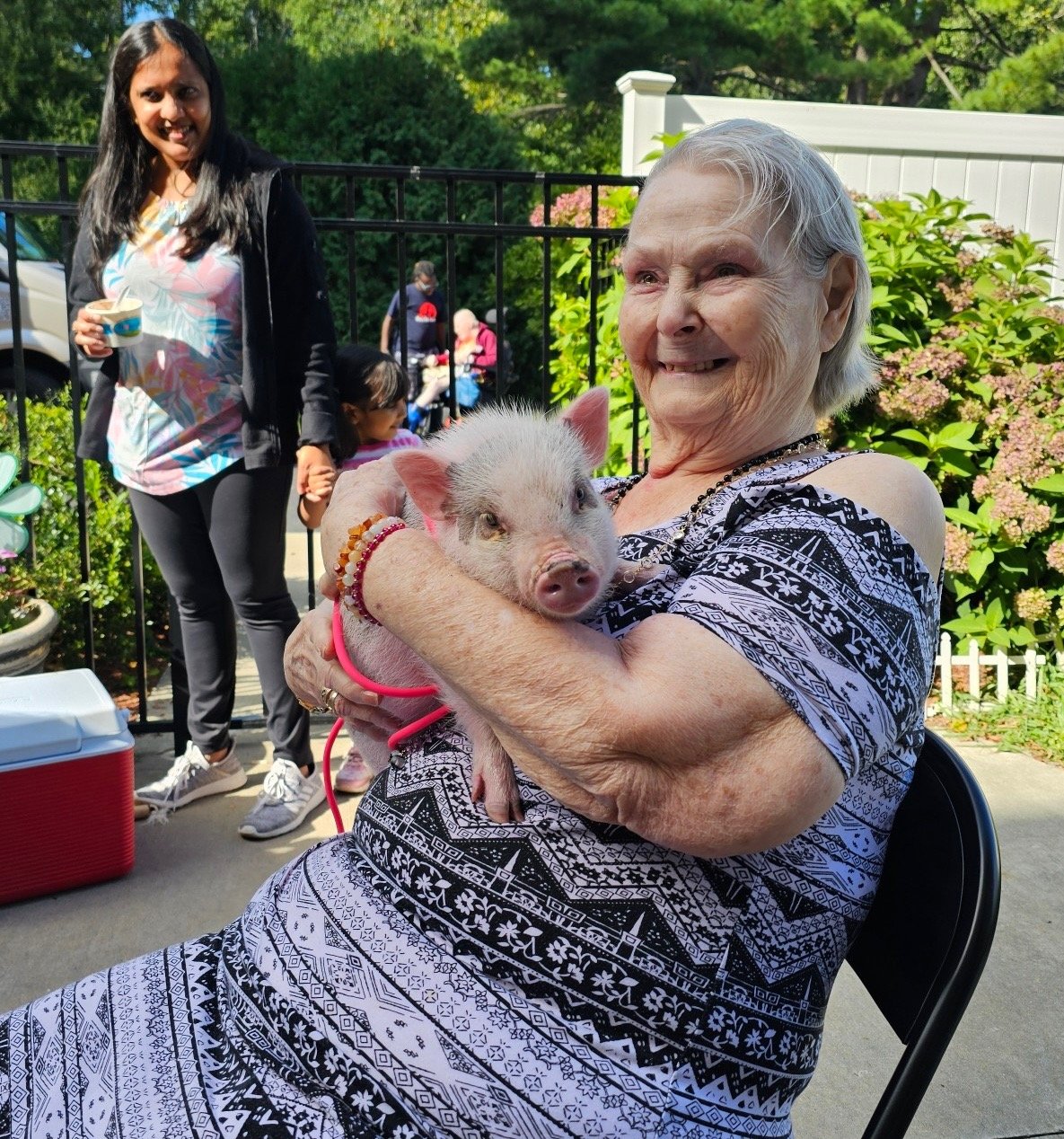 Pig relaxing on sofa