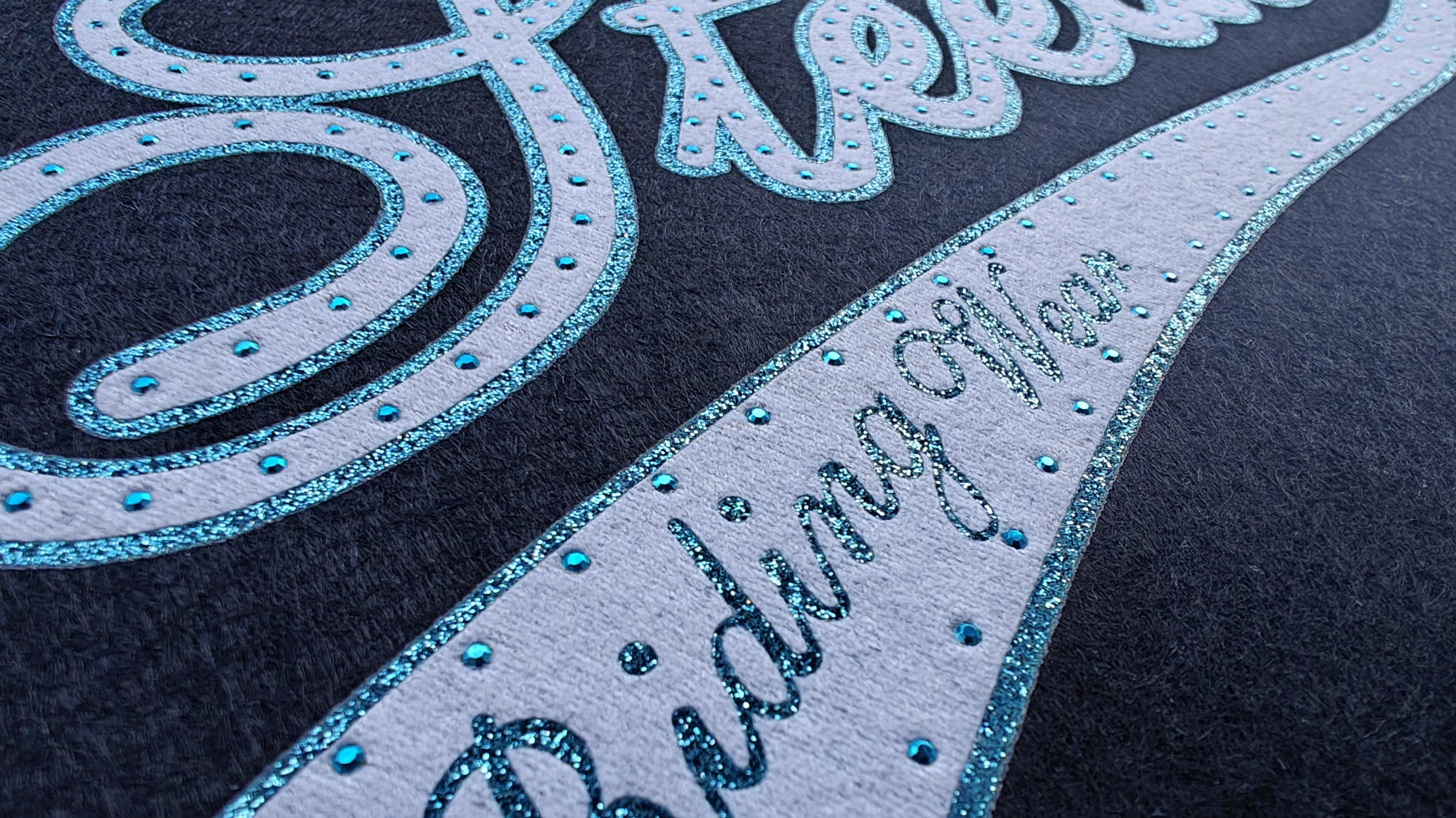 Close-up of glittery text on fabric, featuring Steezy in large cursive with smaller Riding Wonders below on dark background.