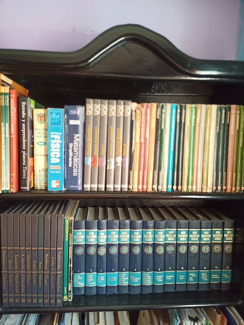Bookshelf with various encyclopedias and textbooks, including volumes on mathematics and physics.
