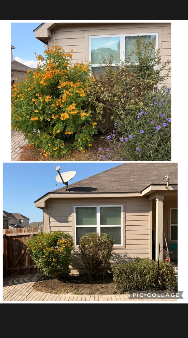 Rivas Lawn Care project photo