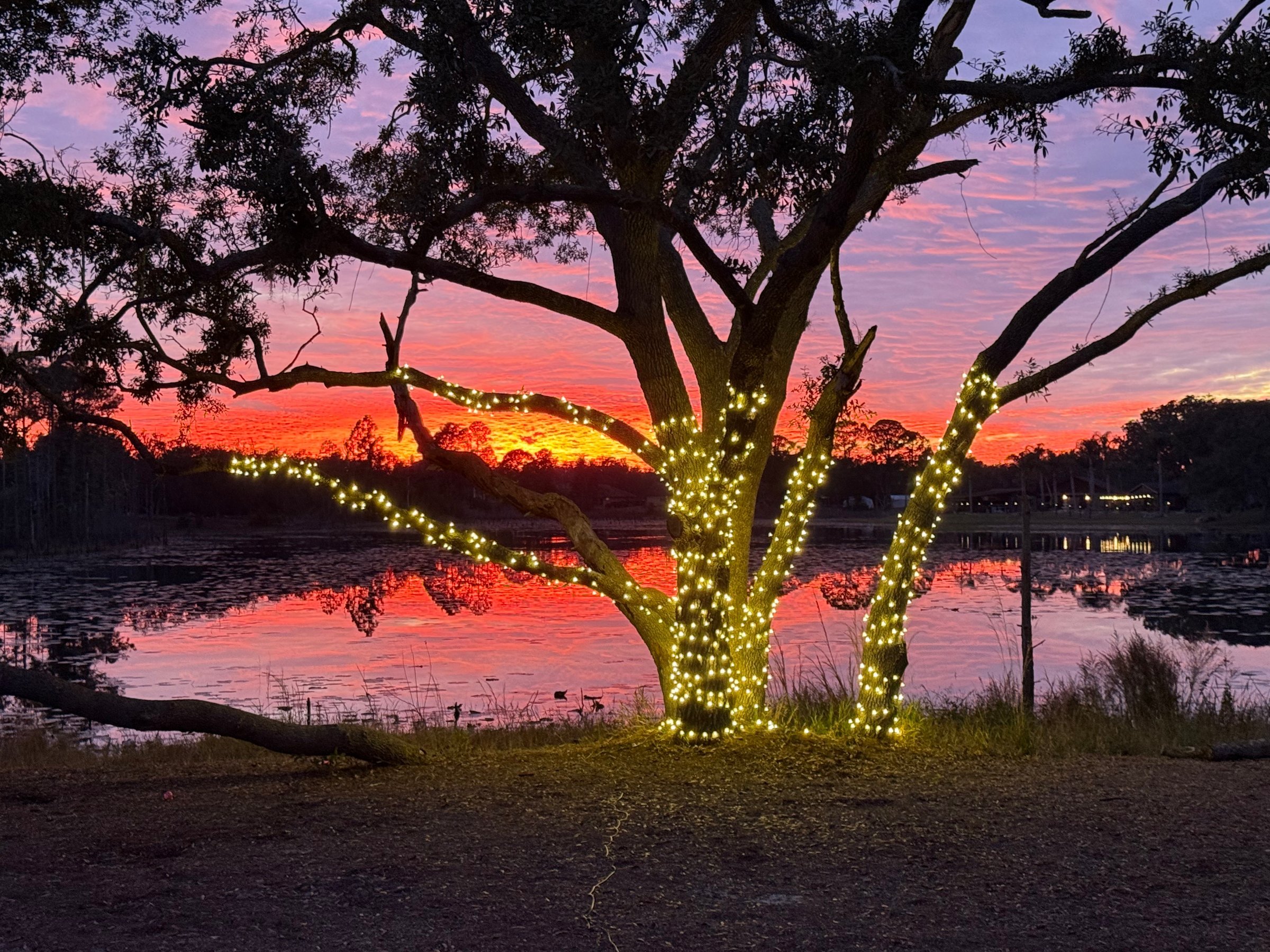 Holiday Light Installation