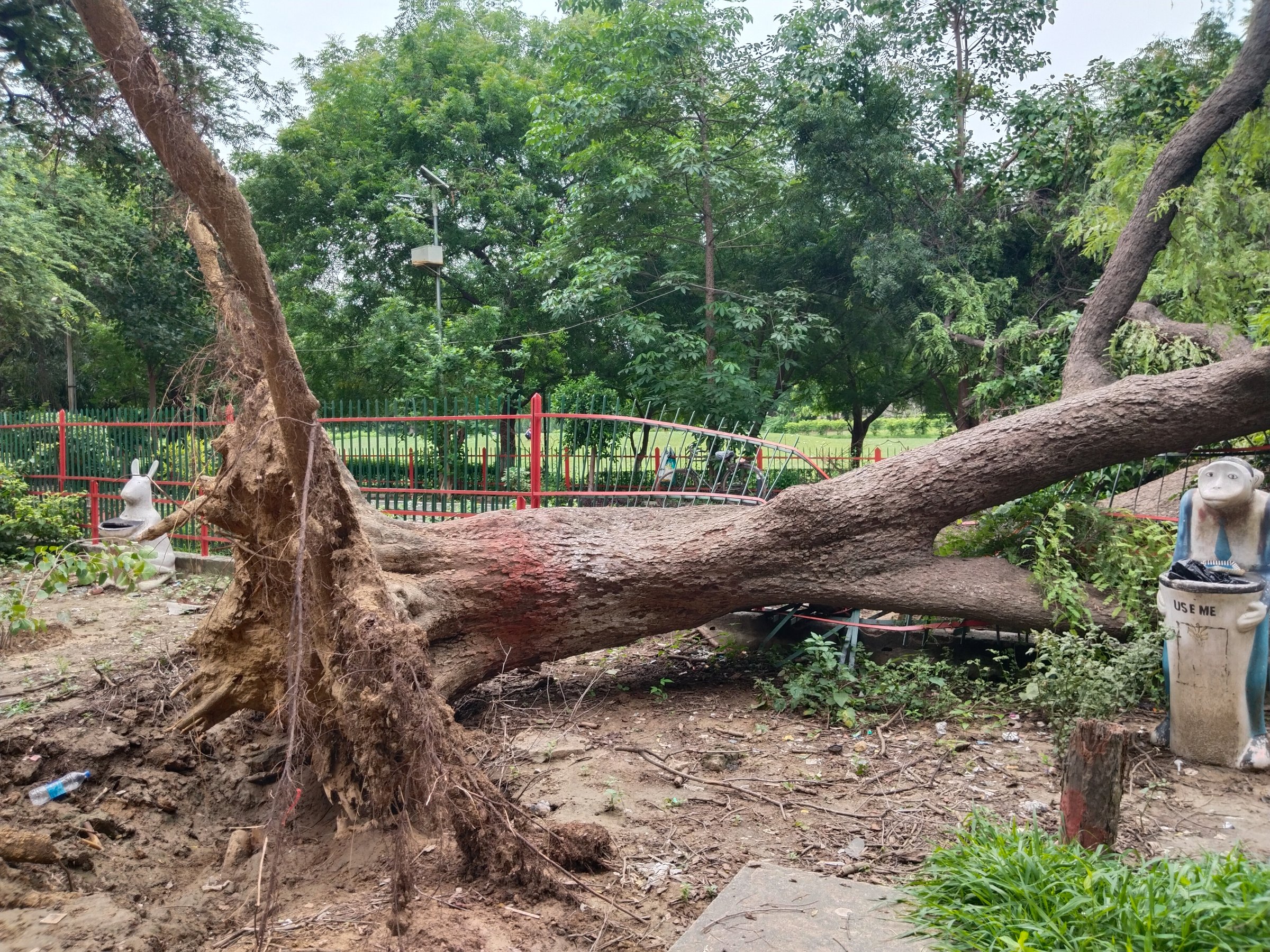 Uprooted tree with exposed roots and fallen trunk damaging park fence, reddish bark, natural disaster impact in garden setting with greenery and outdoor environment