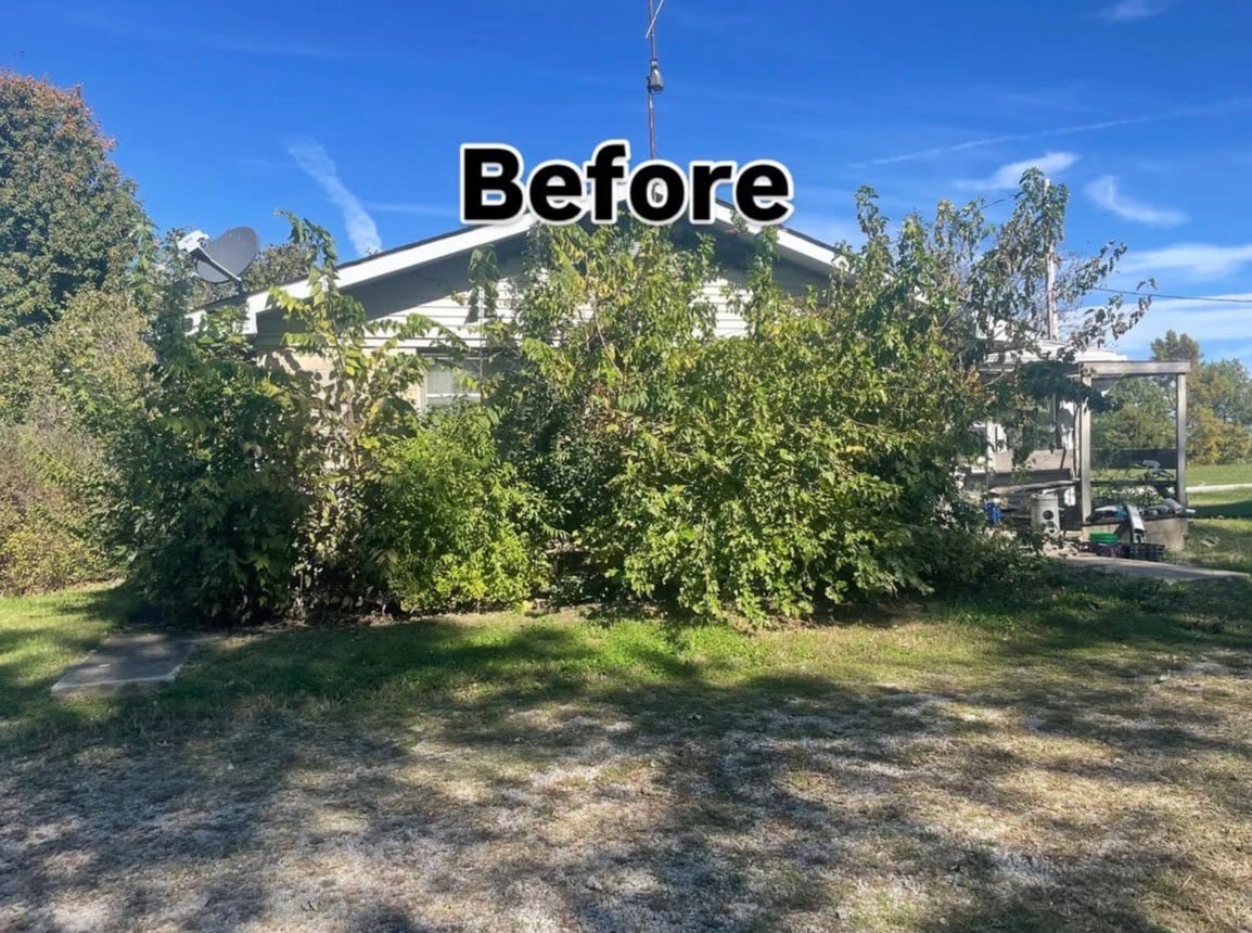 Before landscaping transformation