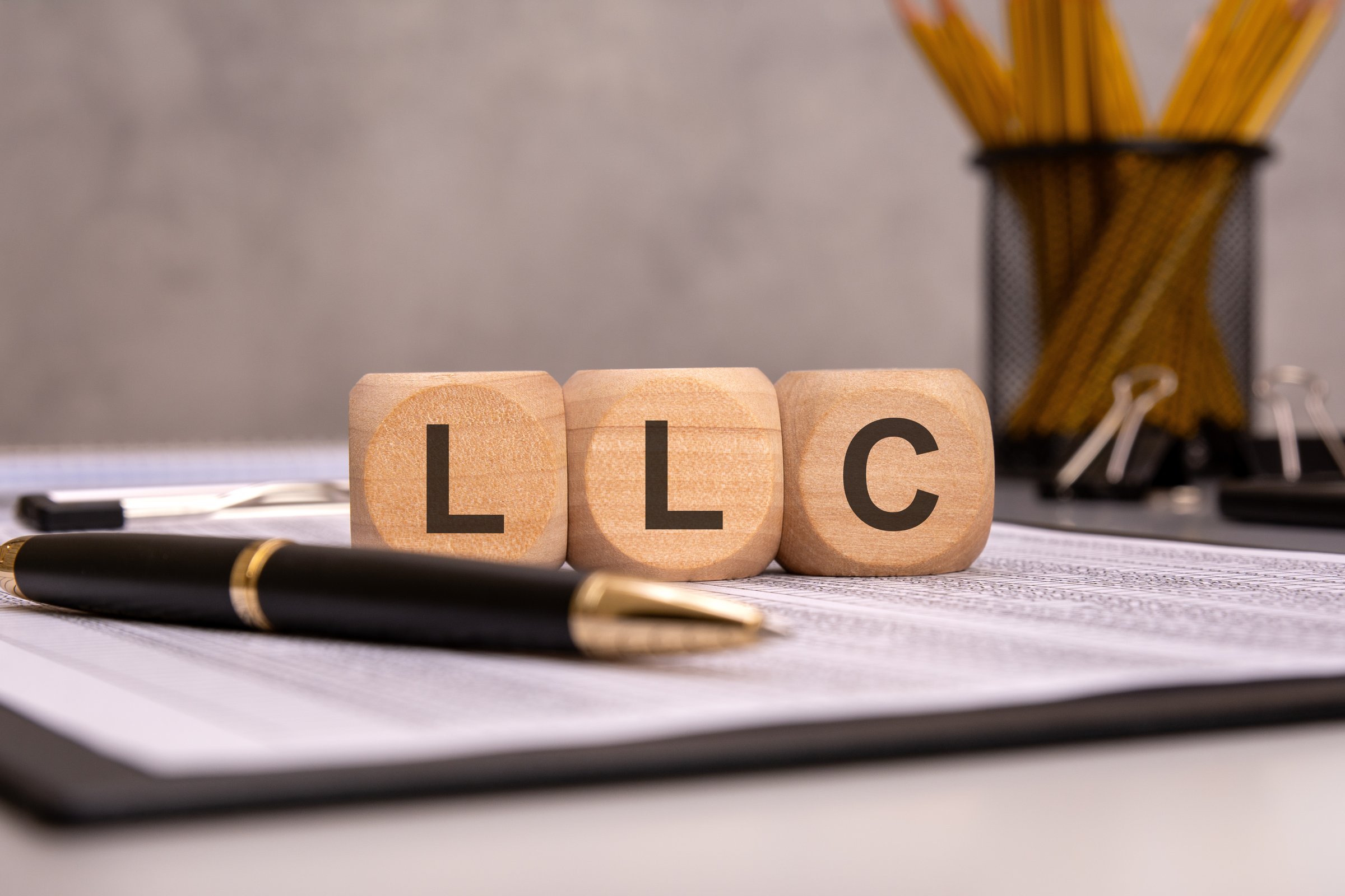 LLC business legal documents