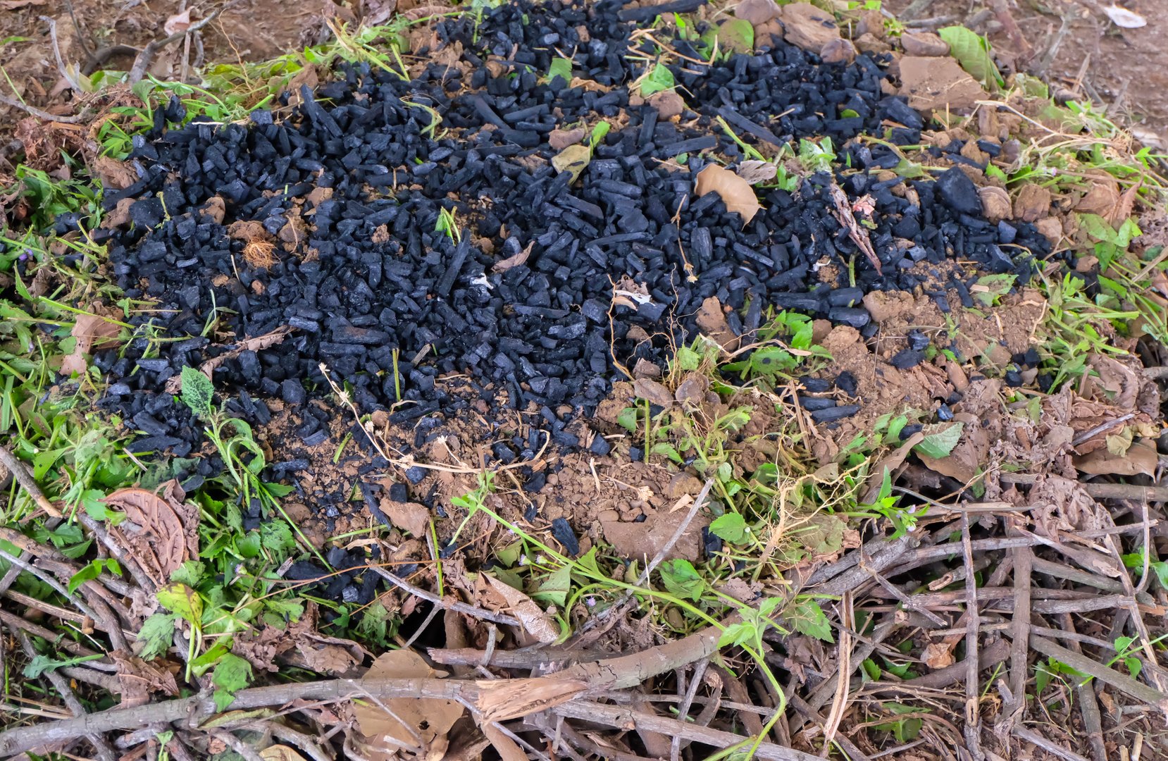 A mound of biochar, including charred wood, soil, wet weeds, dead leaves and dry sticks