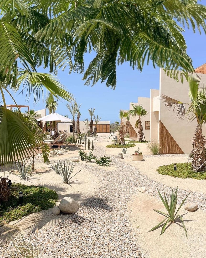 Pathway through a beachside desert garden with palm trees, leading to the ocean, surrounded by modern beige buildings.