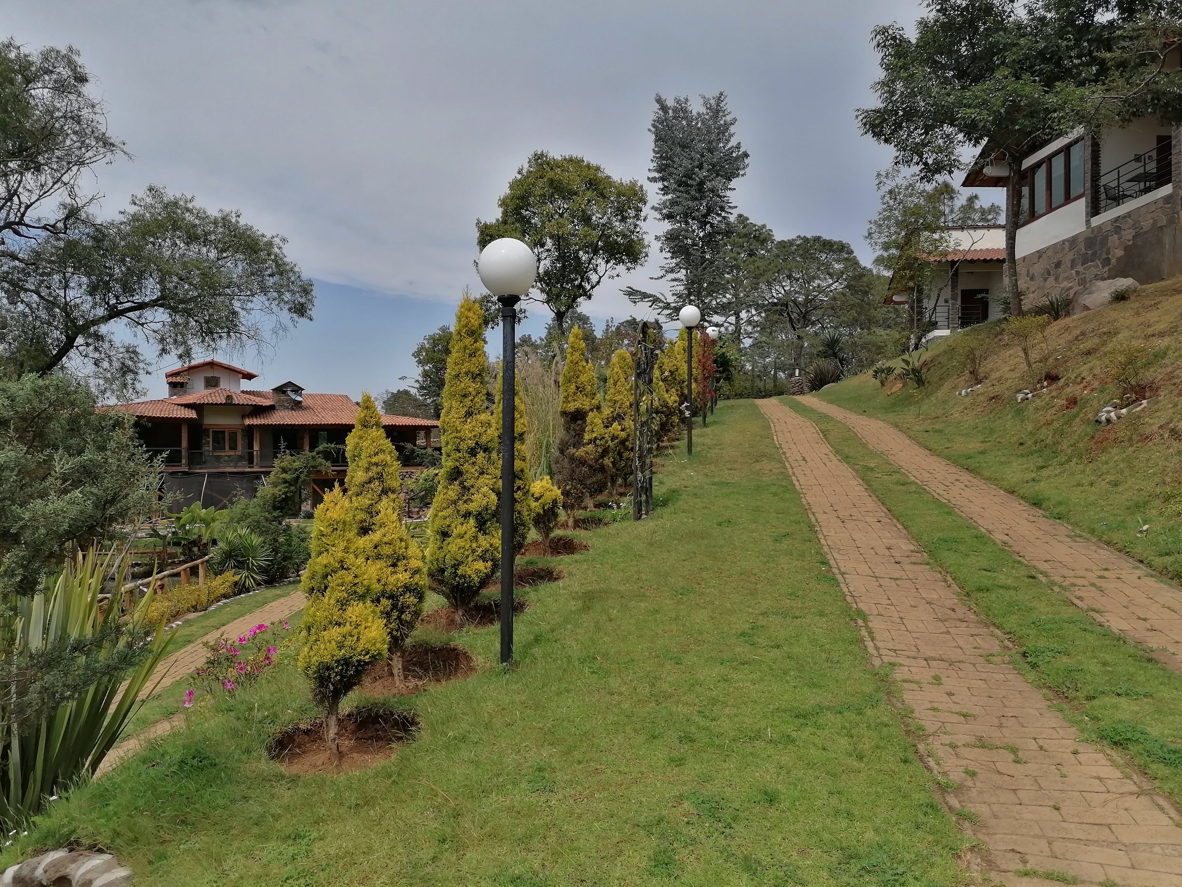 landscaping