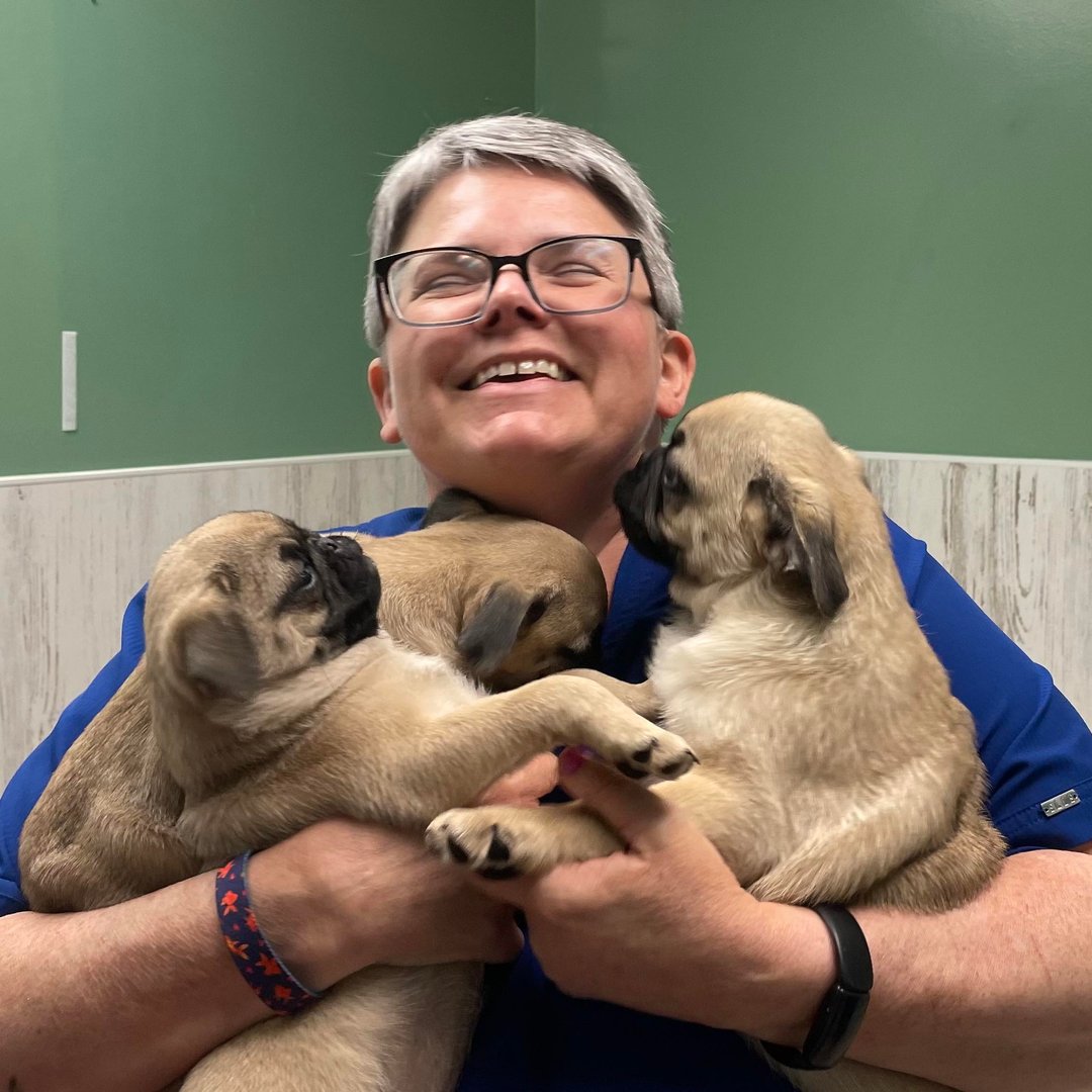 Person smiling and holding three small, beige puppies against a green wall.