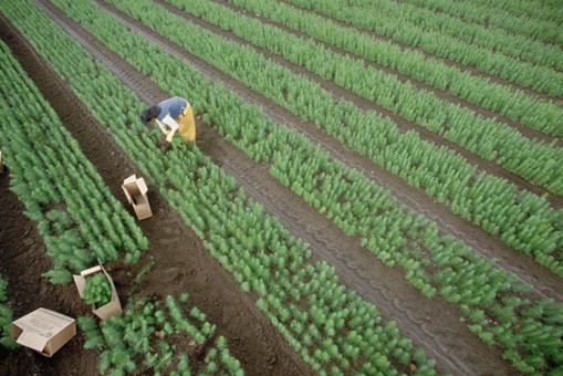 Agriculture Equipment Upgrade