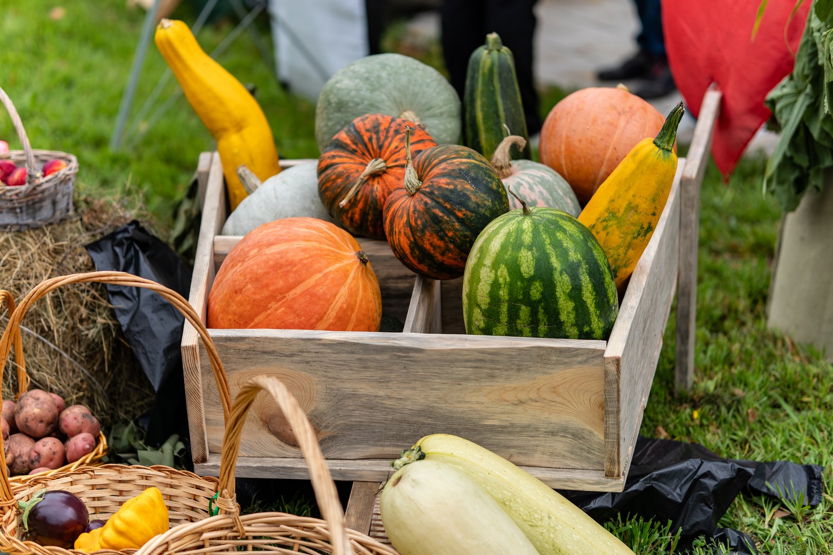 lots of ripe fresh various vegetables and fruits on the green grass and in a wooden box. The autumn harvest concept. Vegetarian food.
