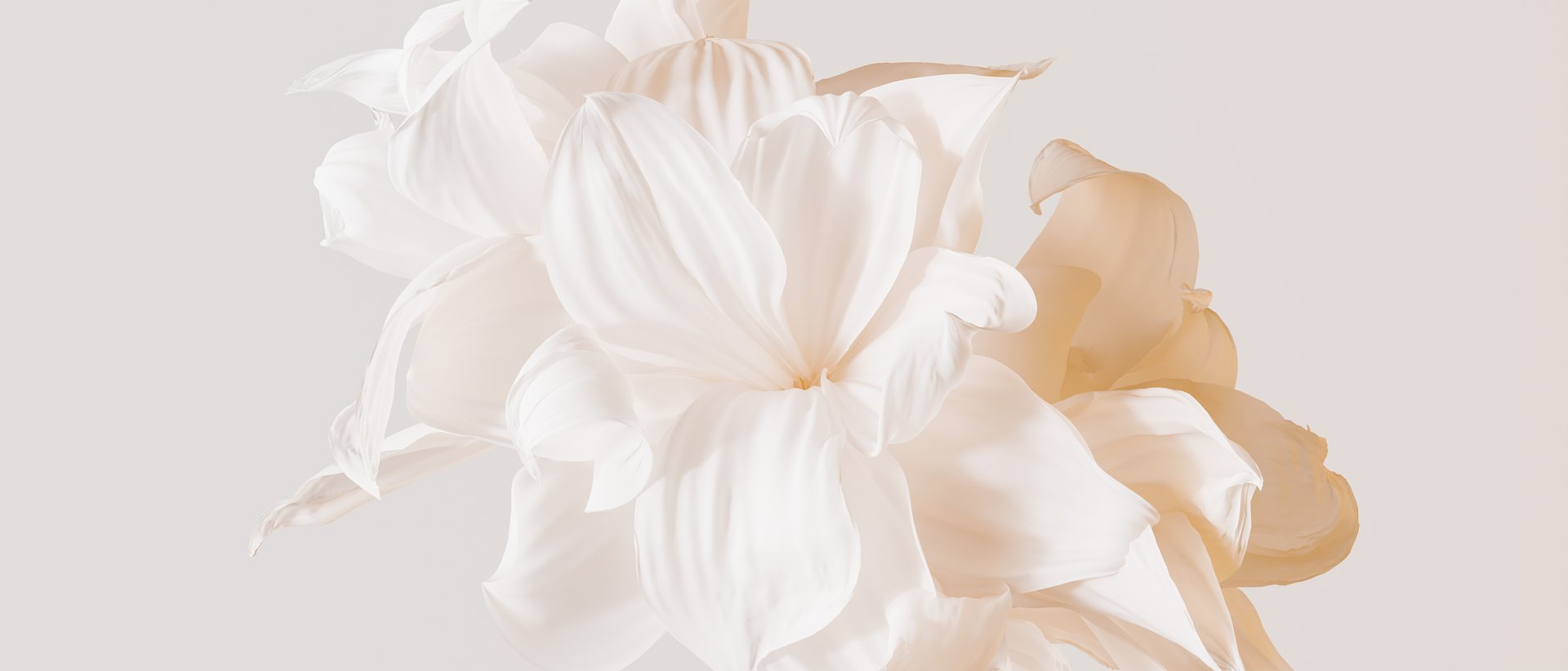 White lily flowers composition with gently folded petals. 3d rendering peaceful elegant botanical background.