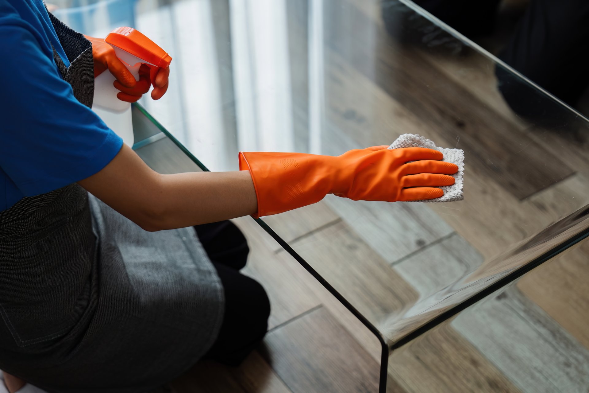 Housekeeping woman cleaning
